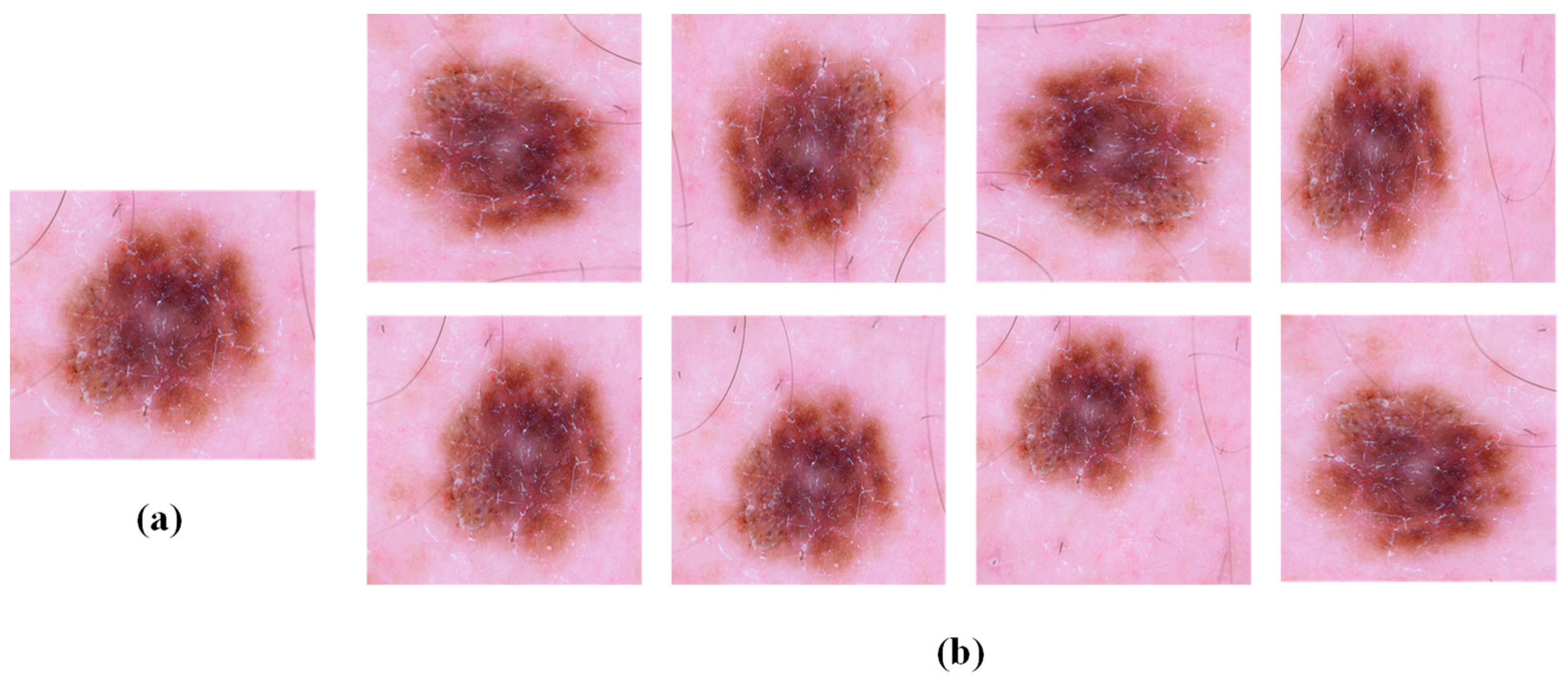 Applsci 14 10197 g006