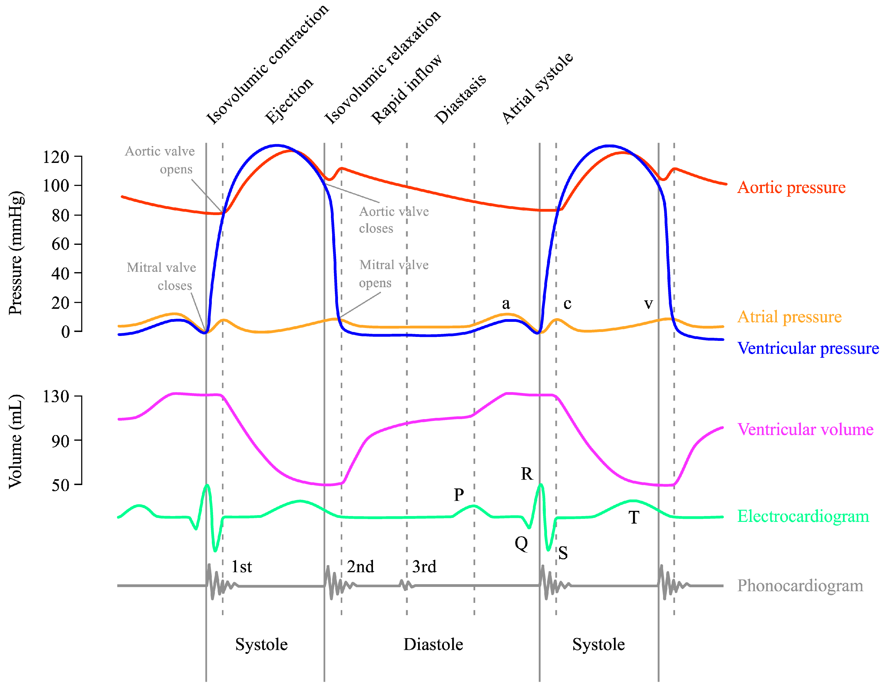 Applsci 14 10201 g001