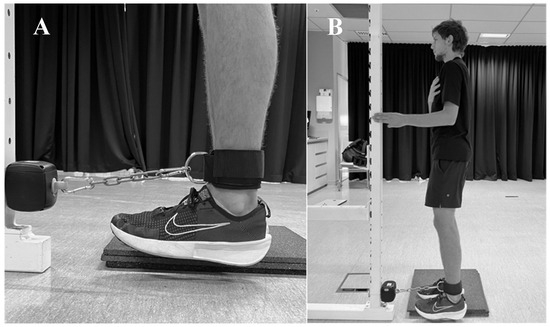 Reliability of a Portable Fixed Dynamometer During Different Isometric ...