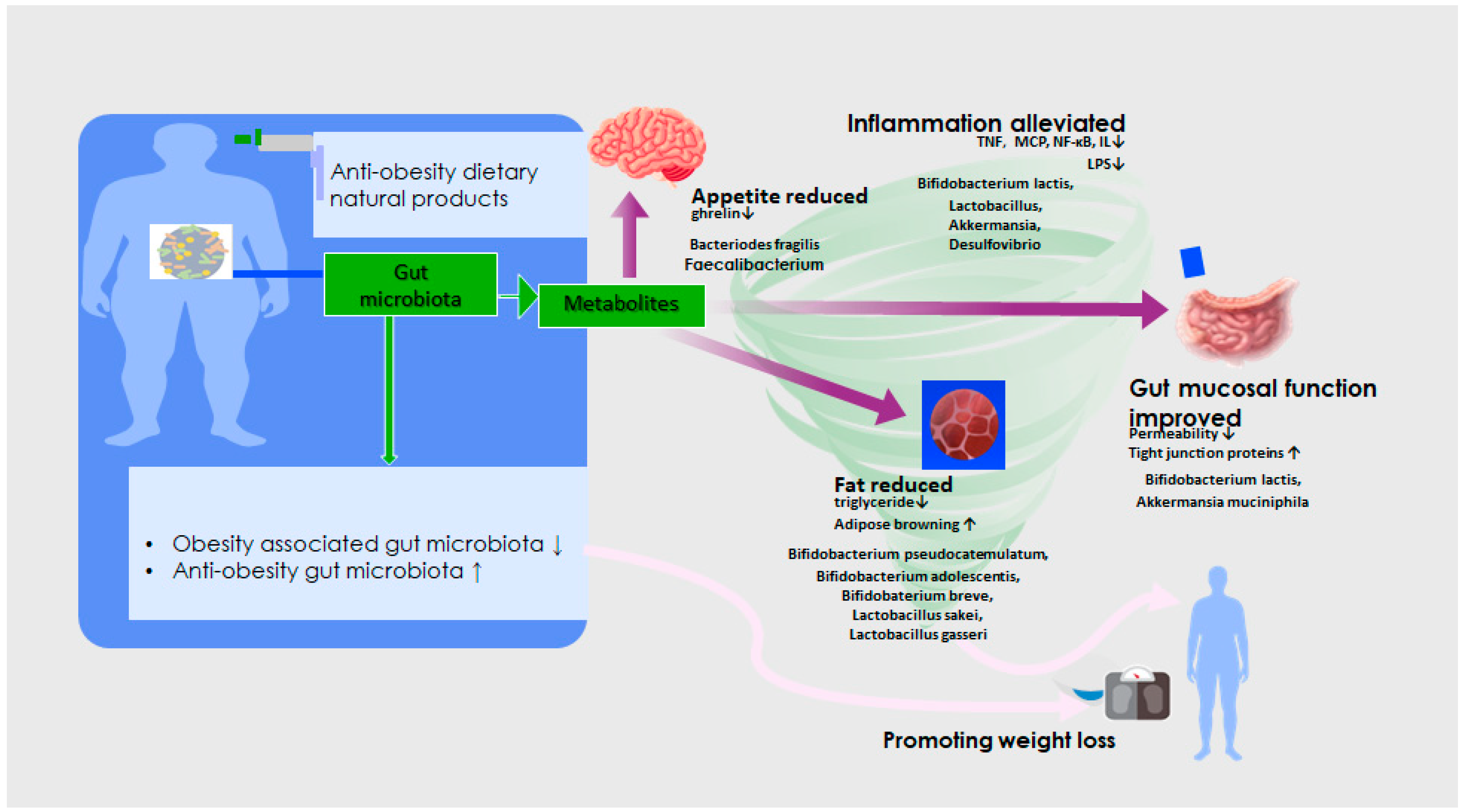 Applsci 14 10215 g003