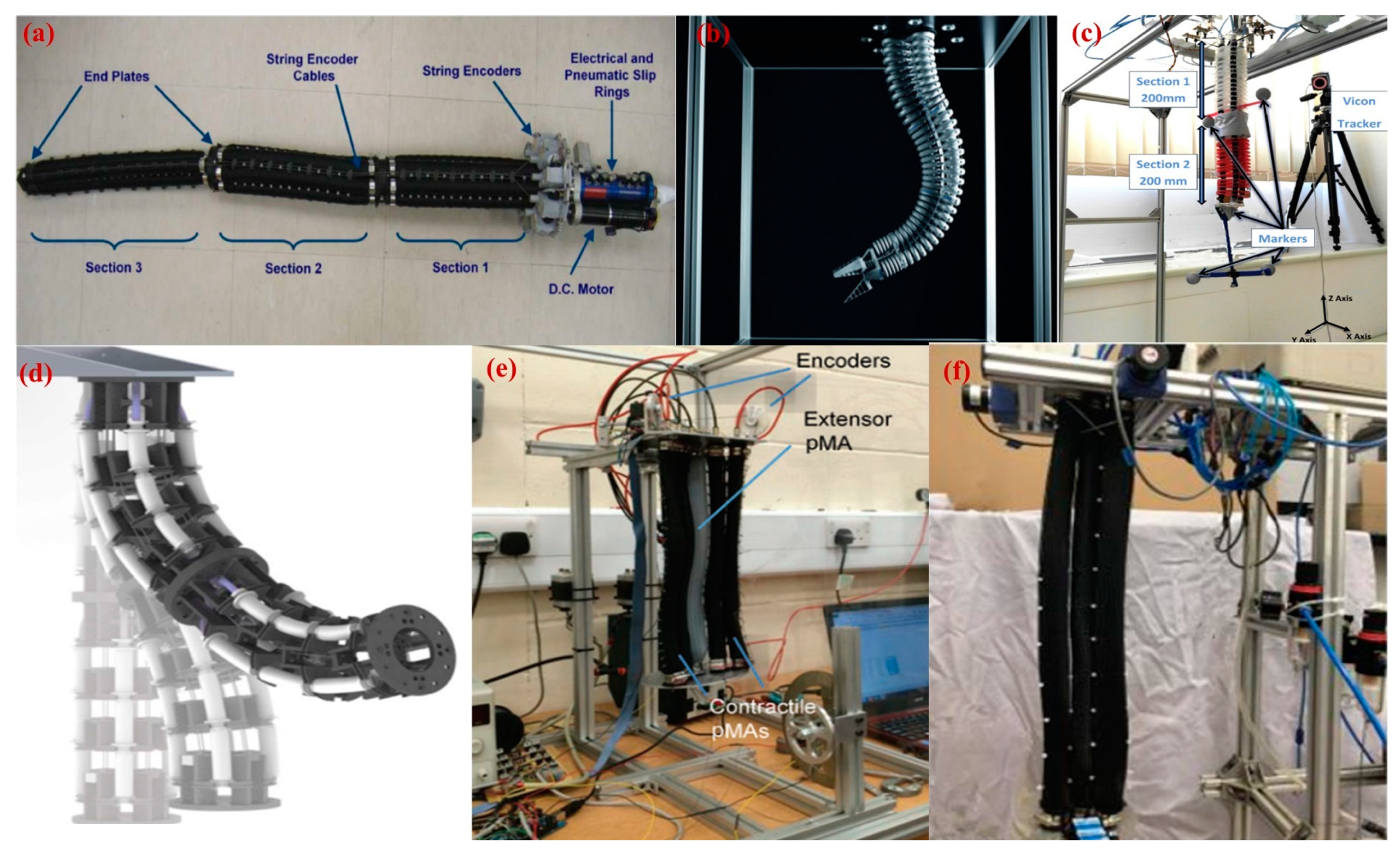 Applsci 14 10240 g001