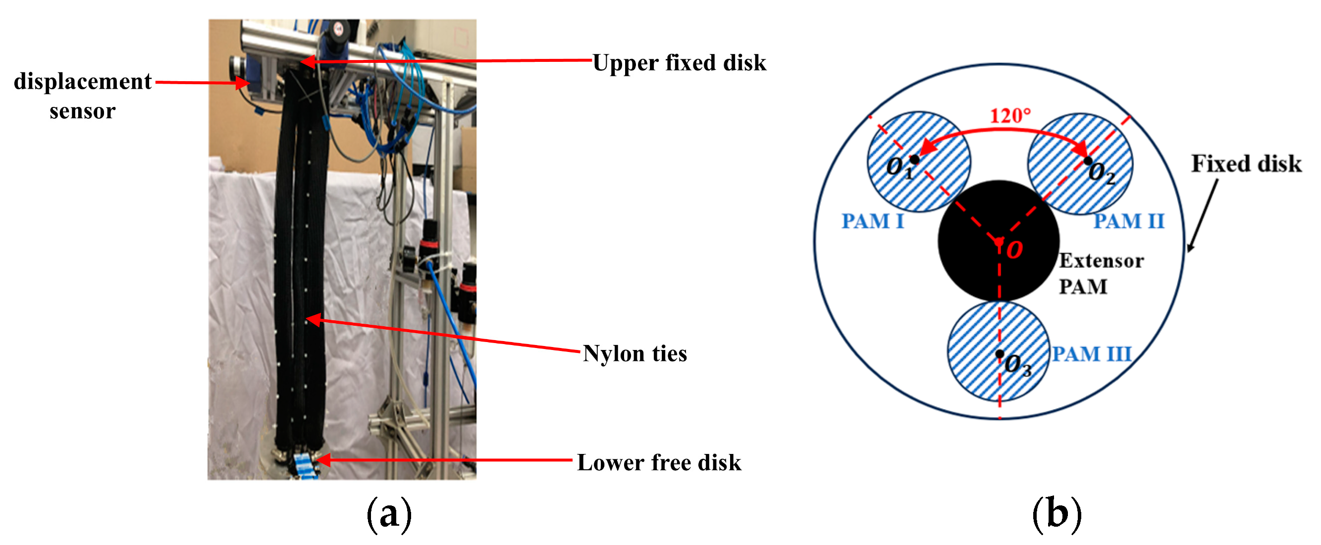 Applsci 14 10240 g003