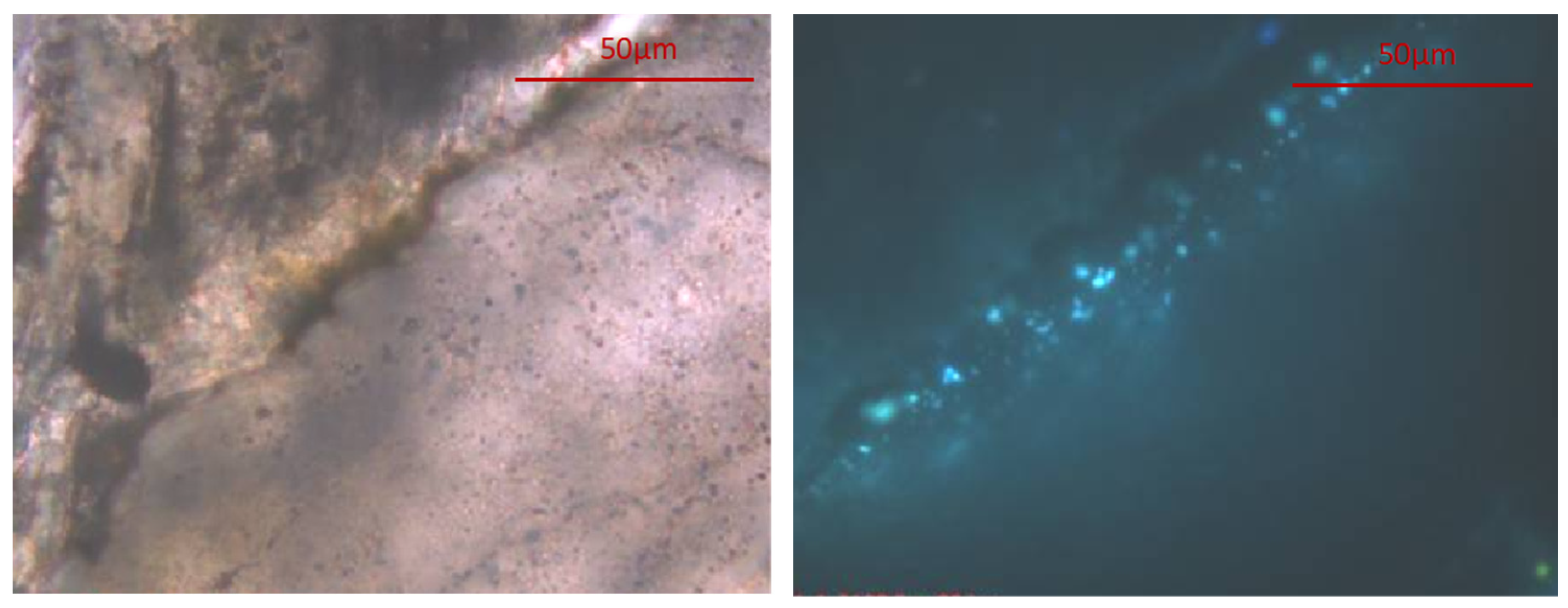 Applsci 14 10242 g010