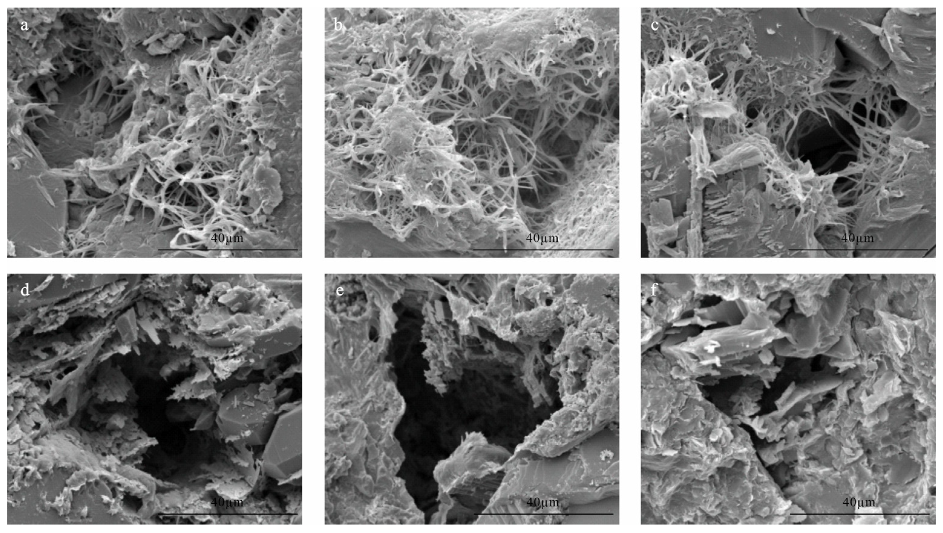 Applsci 14 10242 g012