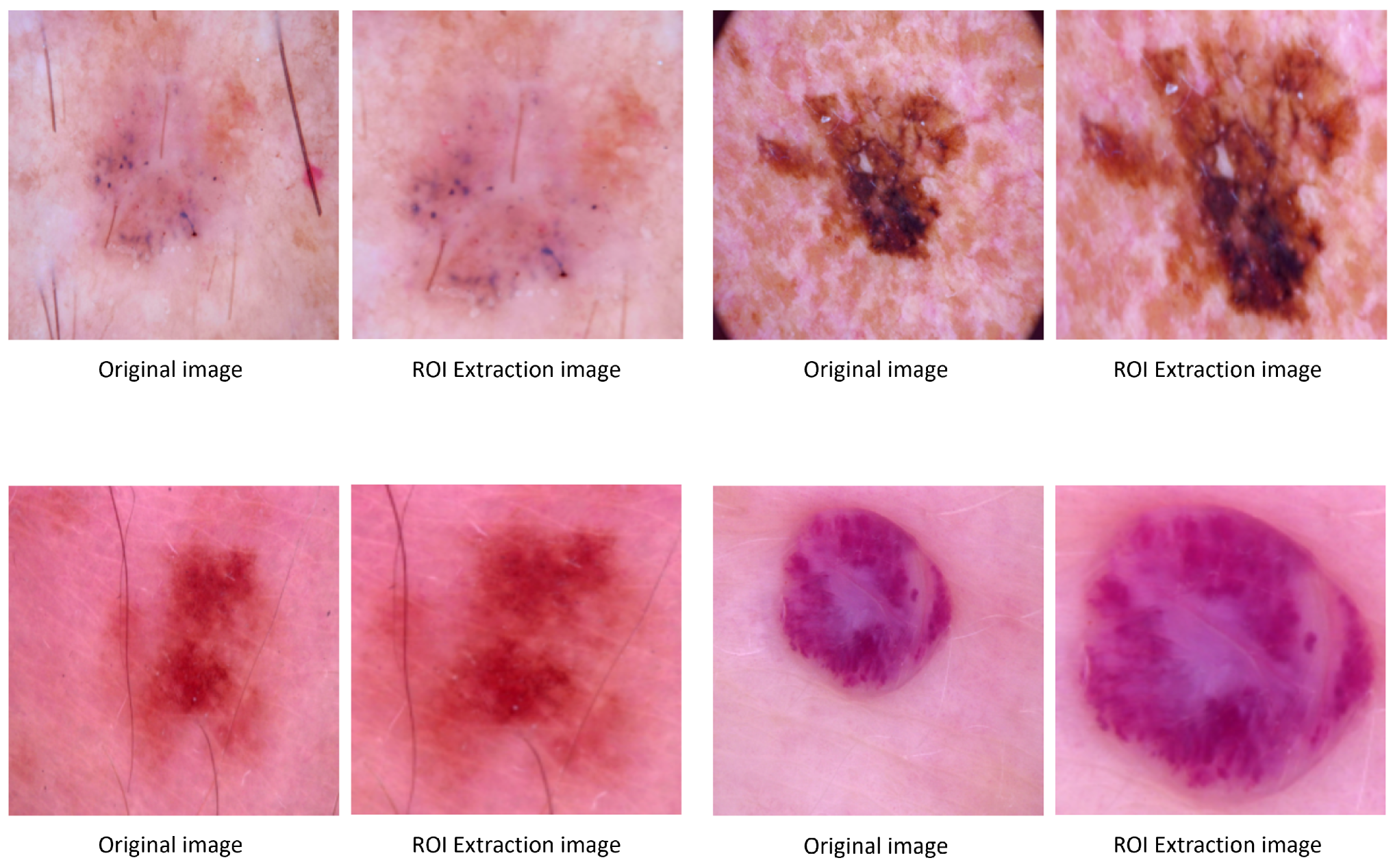 Applsci 14 10294 g005