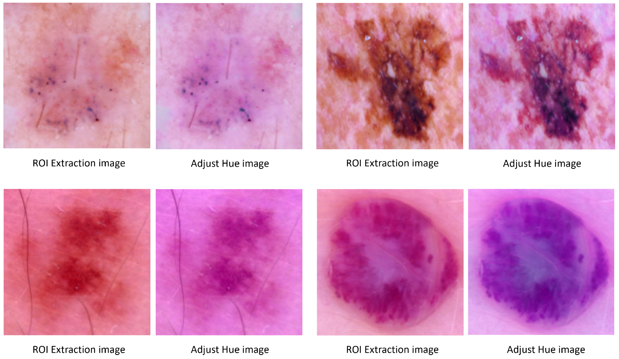 Applsci 14 10294 g013