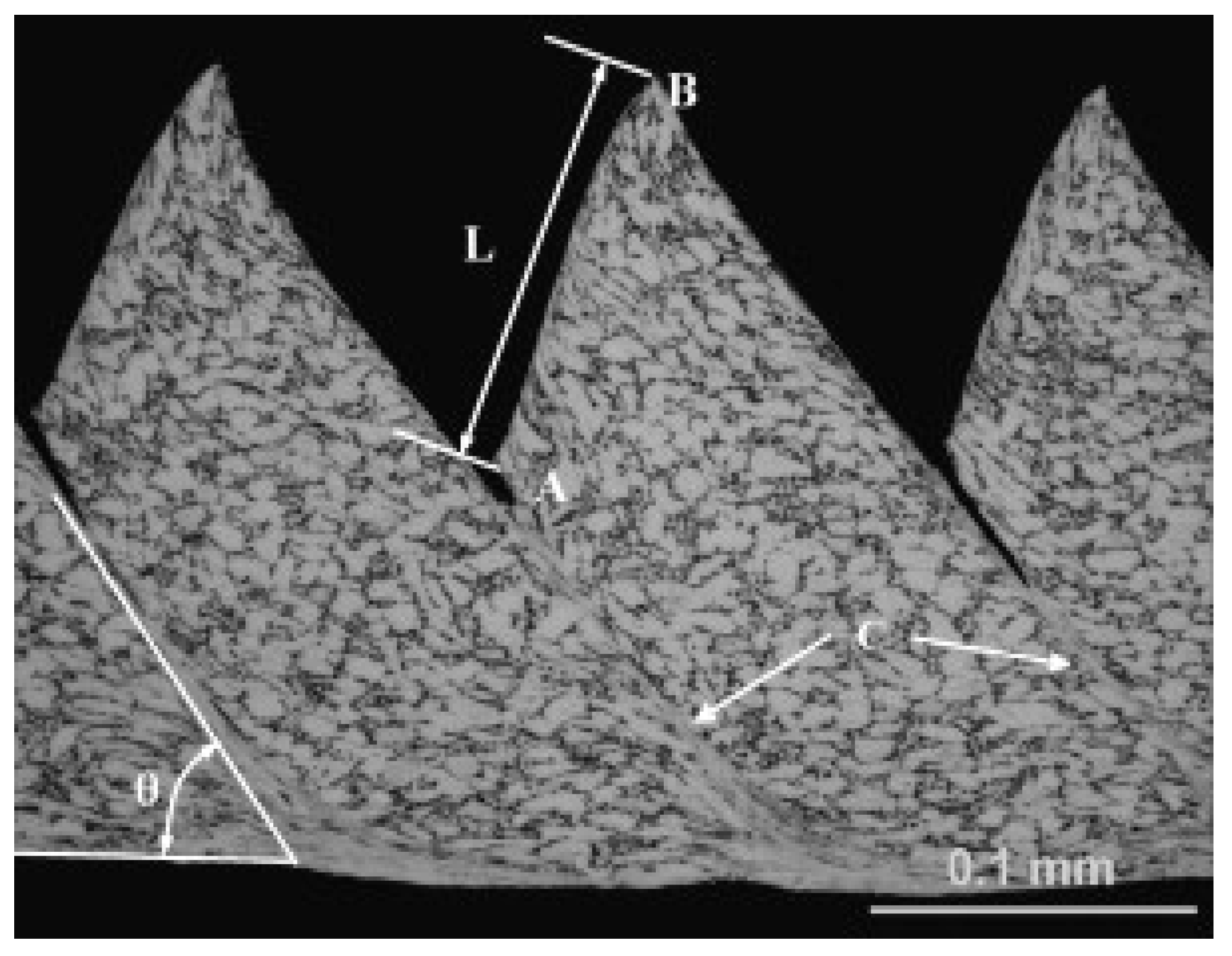 Applsci 14 10340 g006