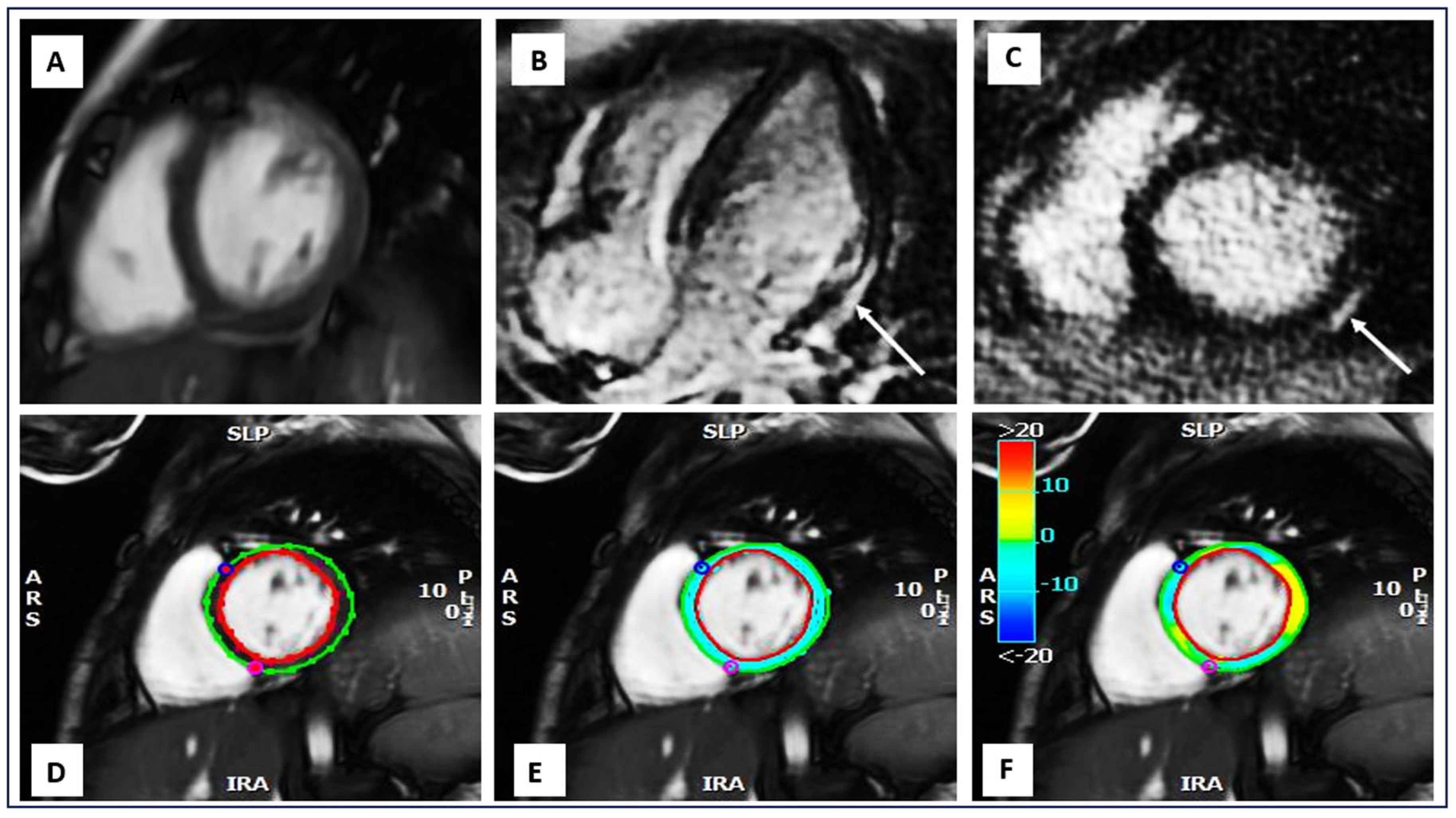 Applsci 14 10341 g001
