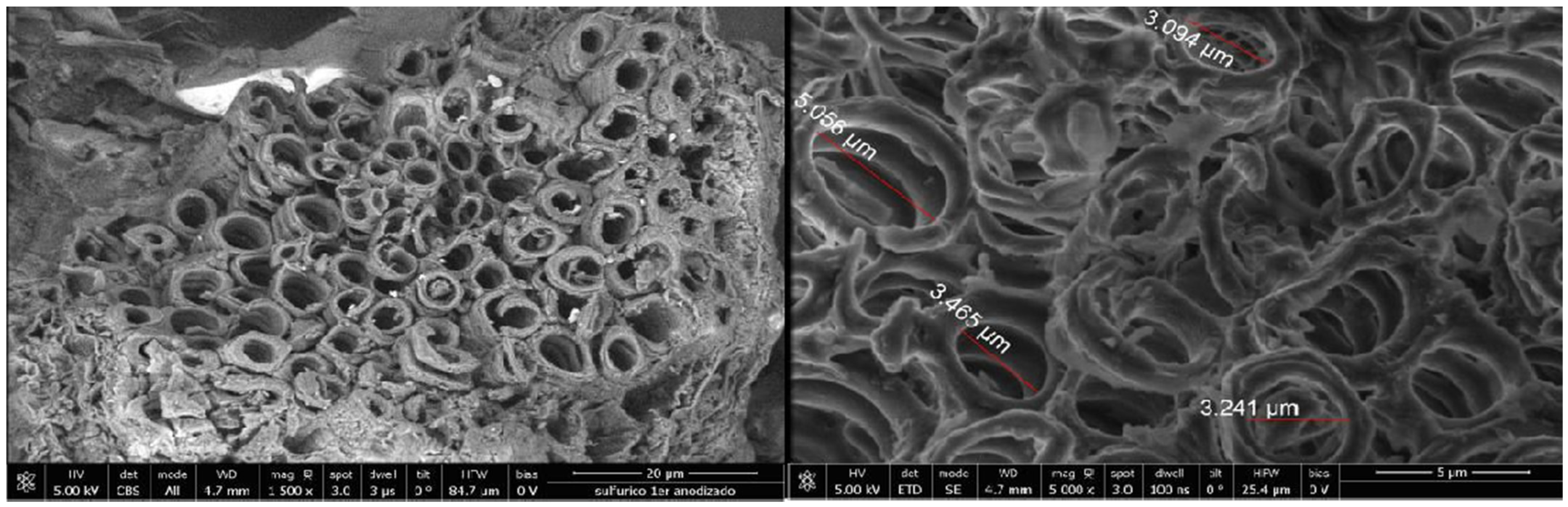 Applsci 14 10365 g005 Applsci 14 10365 g005