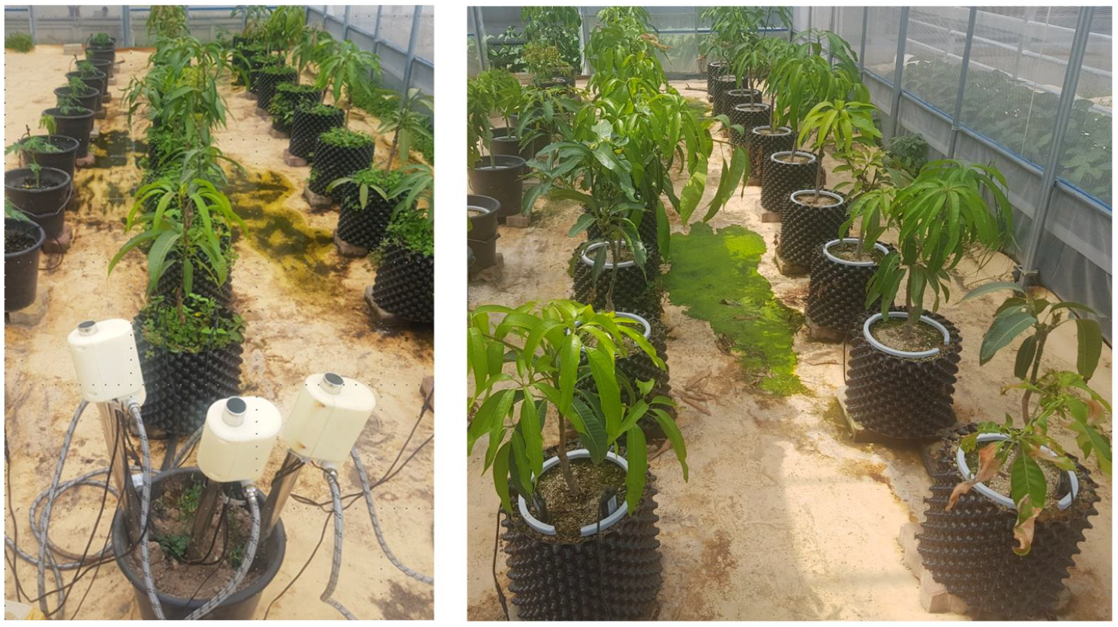 Applsci 14 10371 g006