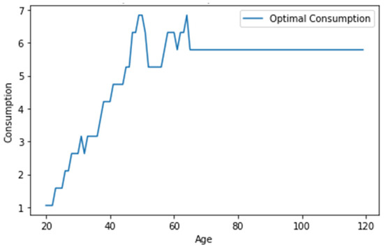 A Parallel Monte Carlo Algorithm for the Life Cycle Asset Allocation ...