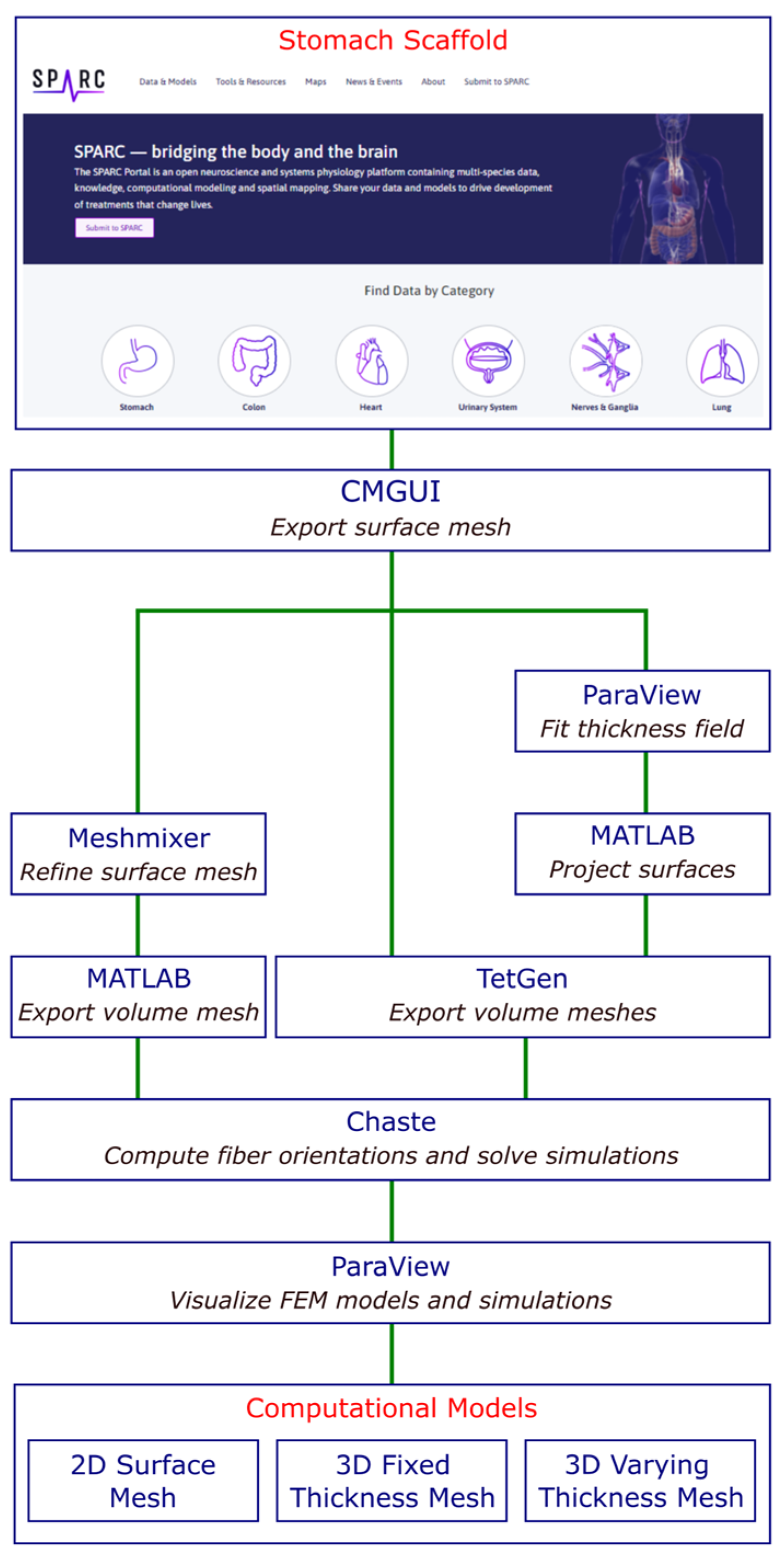 A Workflow for Creating Gastric Computational Models from SPARC 