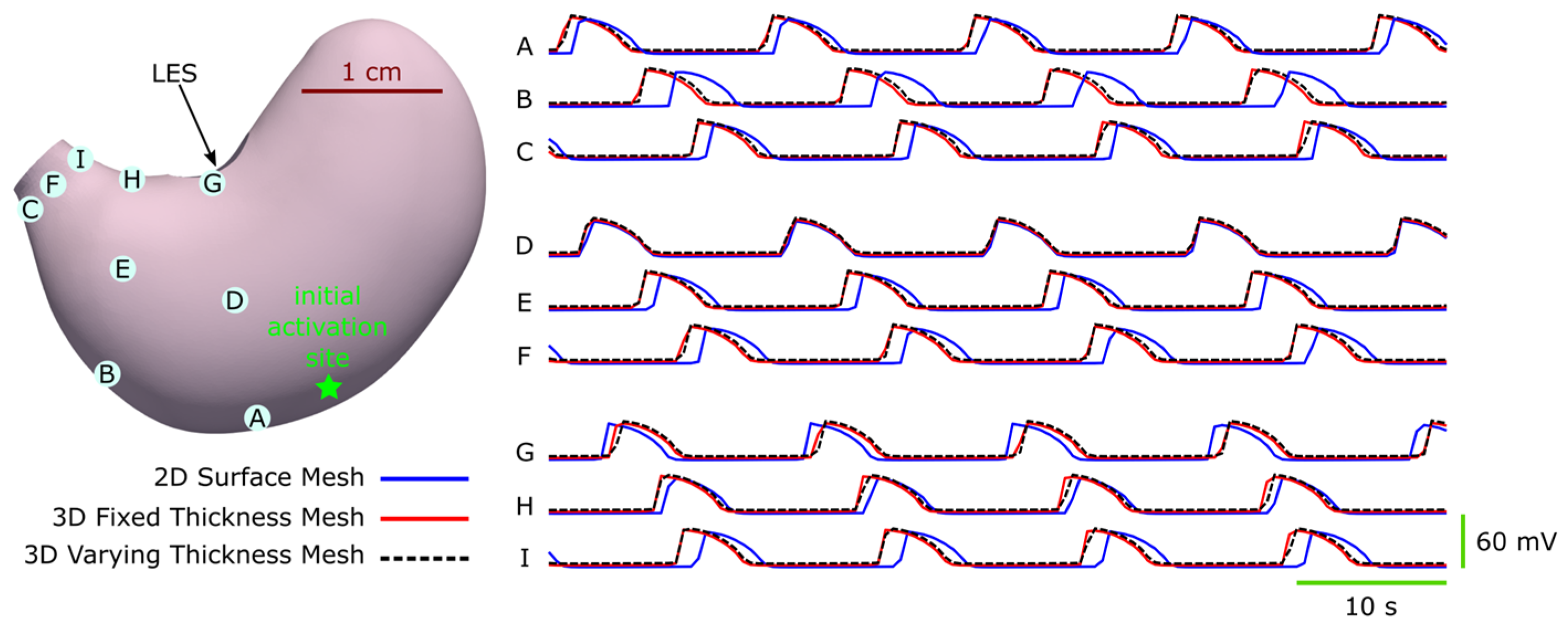 Applsci 14 10393 g005
