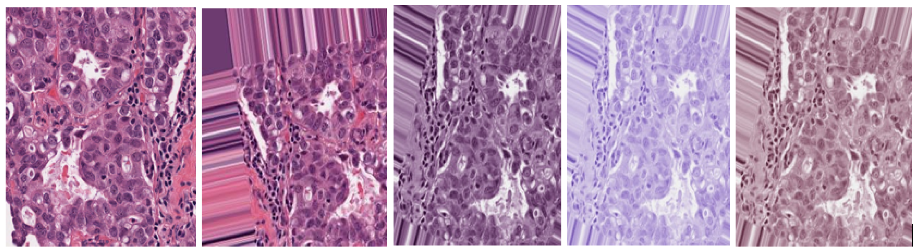 Applsci 14 10394 g002