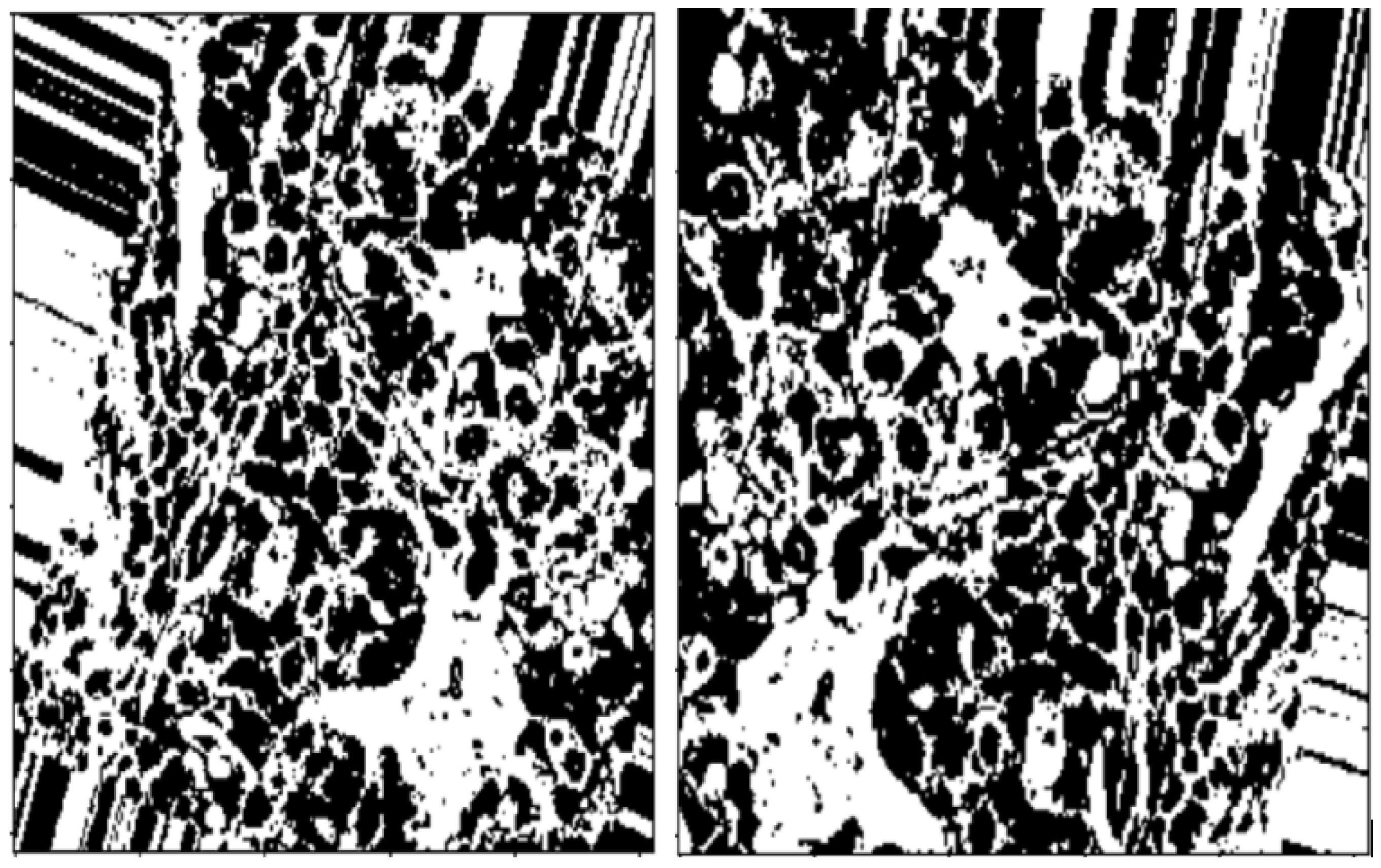 Applsci 14 10394 g003