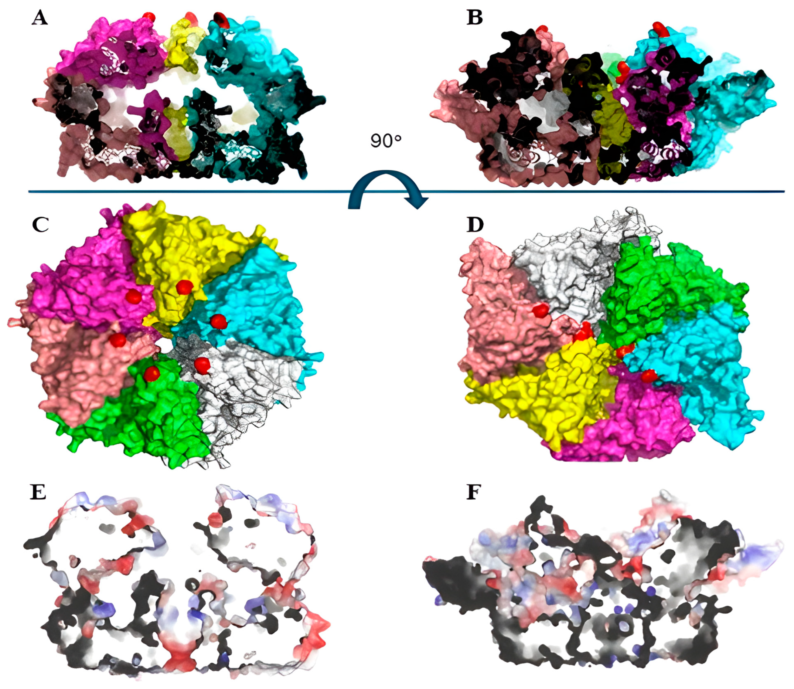 Applsci 14 10402 g006
