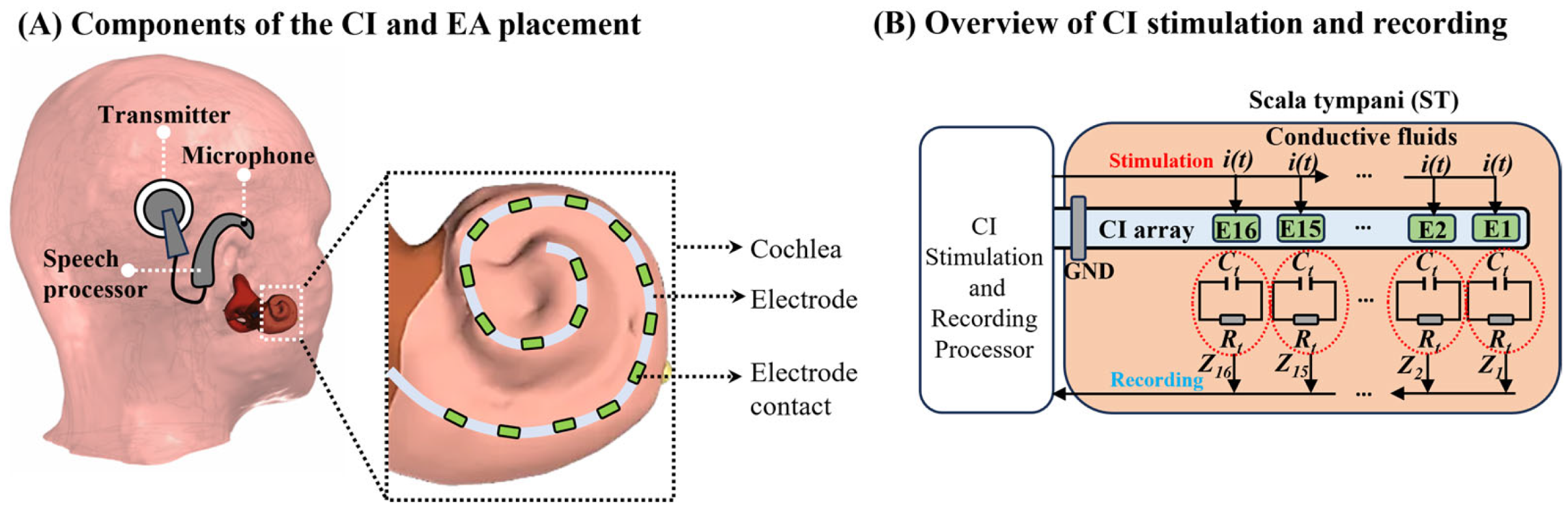 Applsci 14 10408 g001