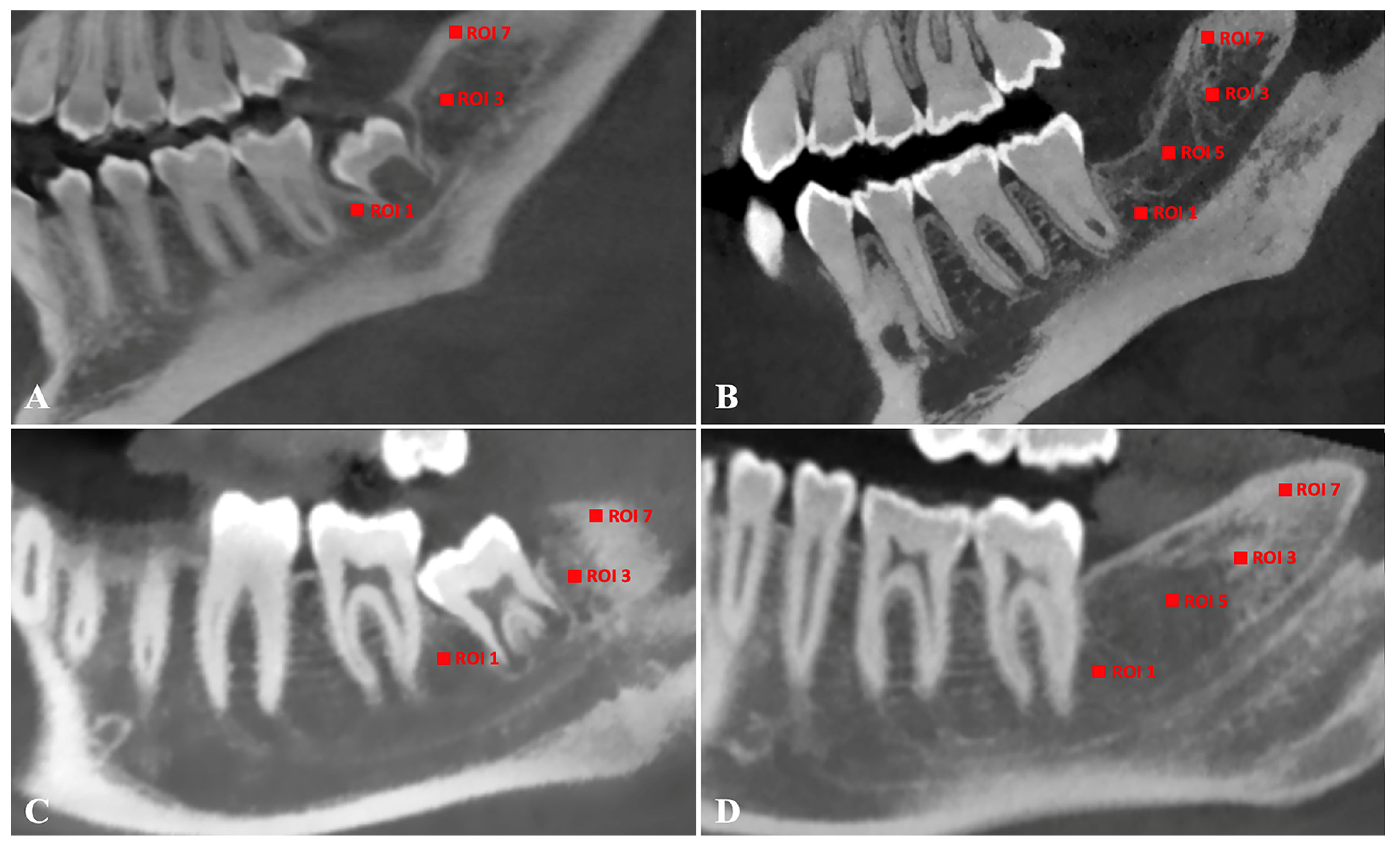 Applsci 14 10419 g001