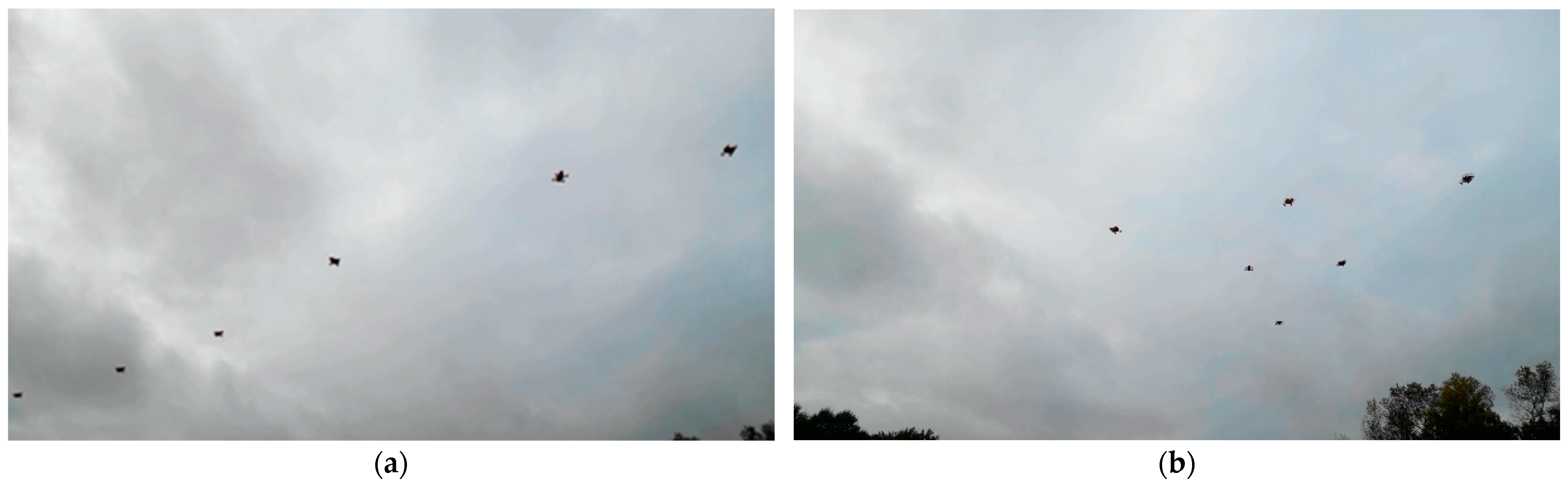 Applsci 14 10424 g028