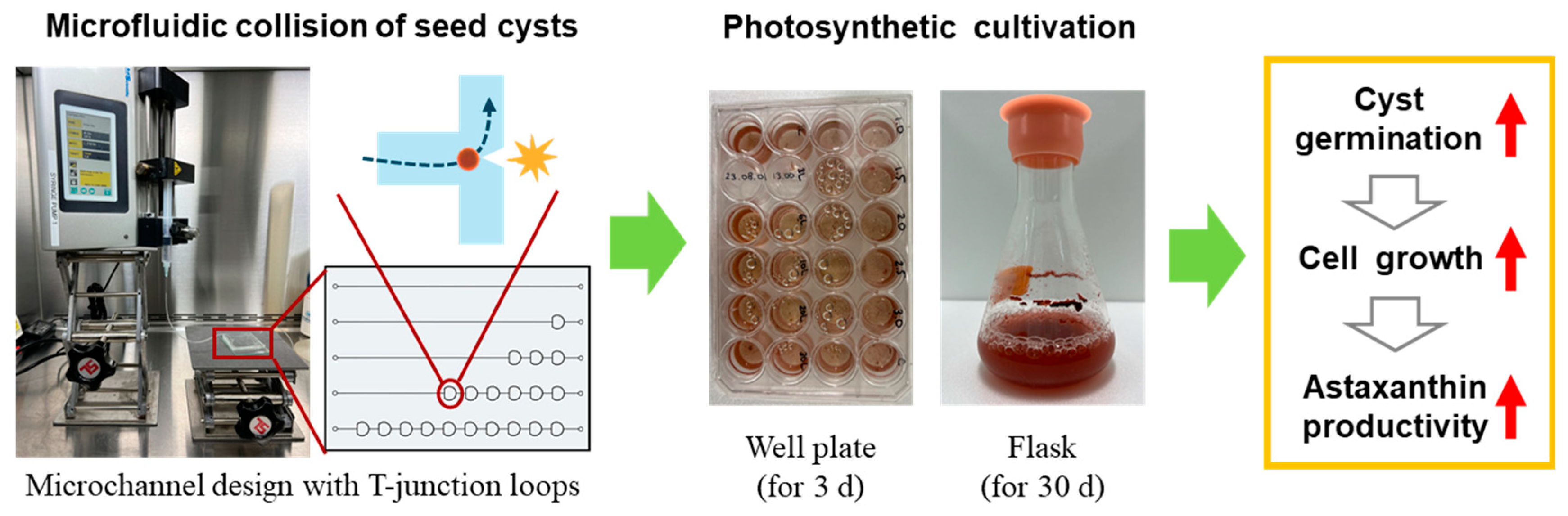 Applsci 14 10434 g001