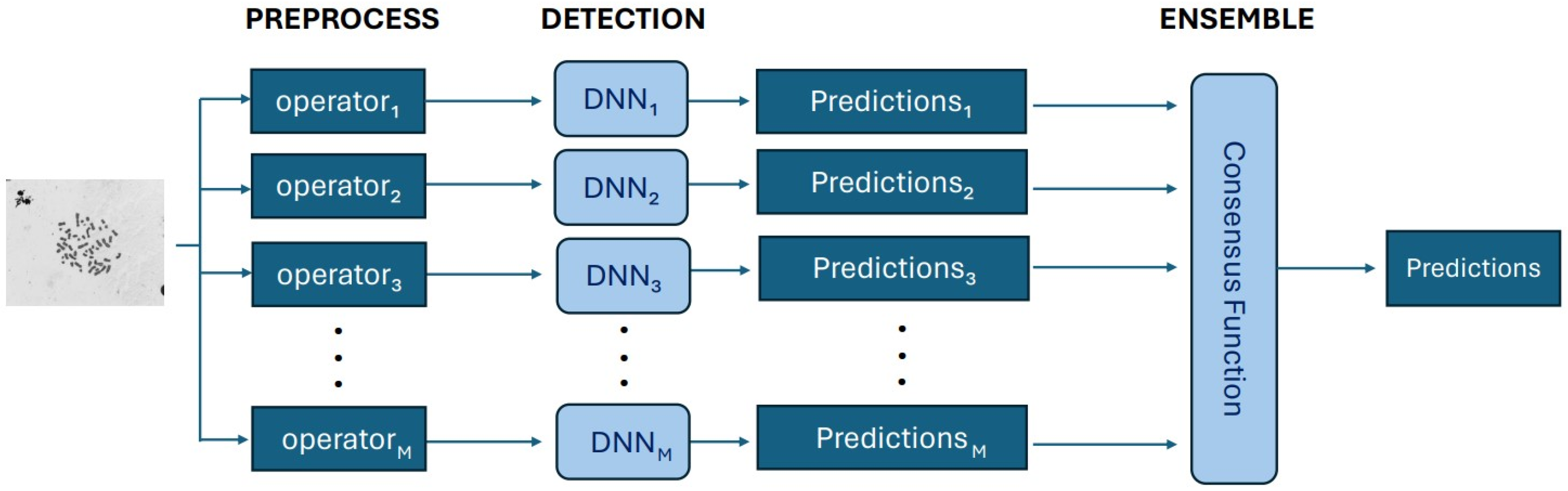 Applsci 14 10440 g001