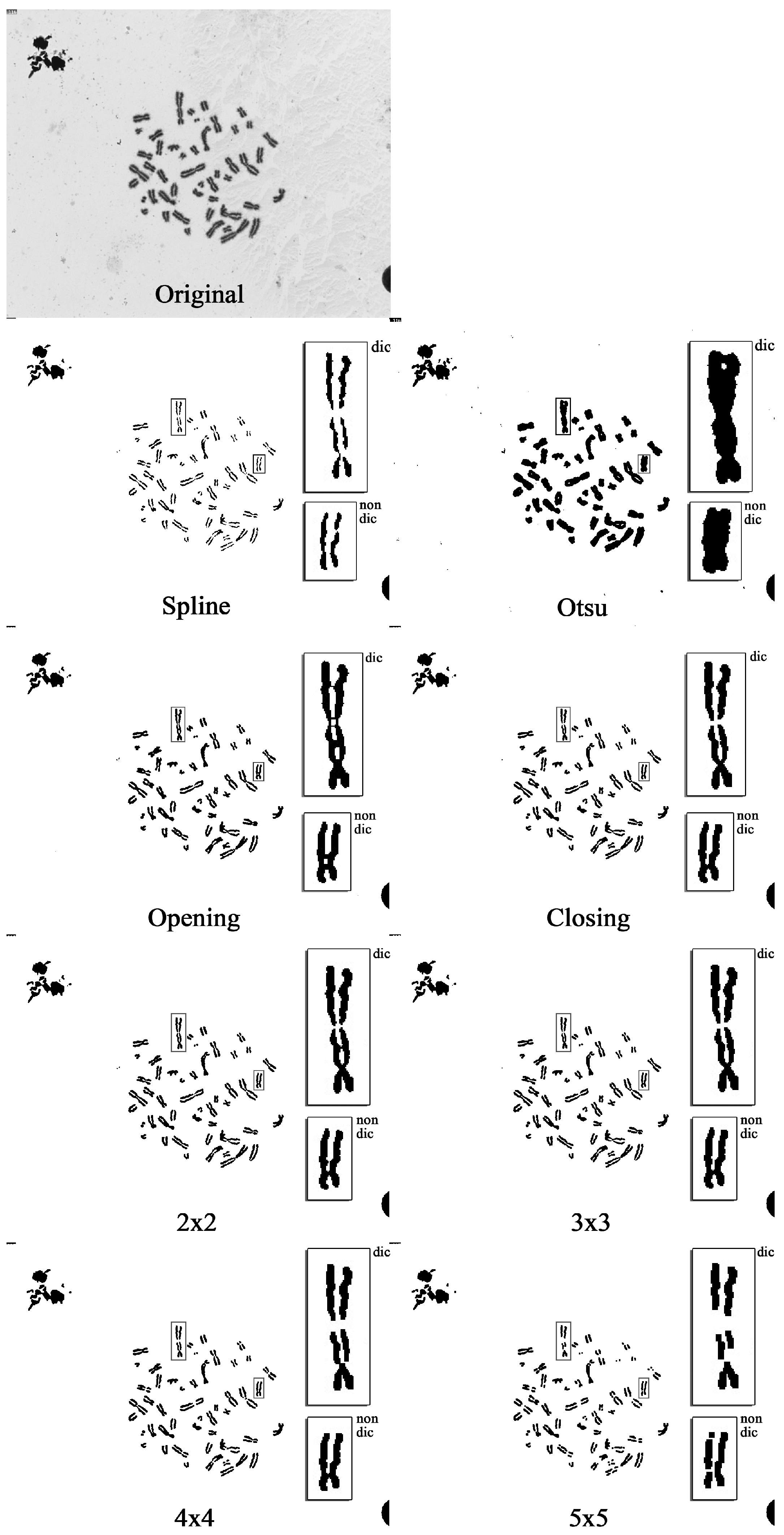 Applsci 14 10440 g005