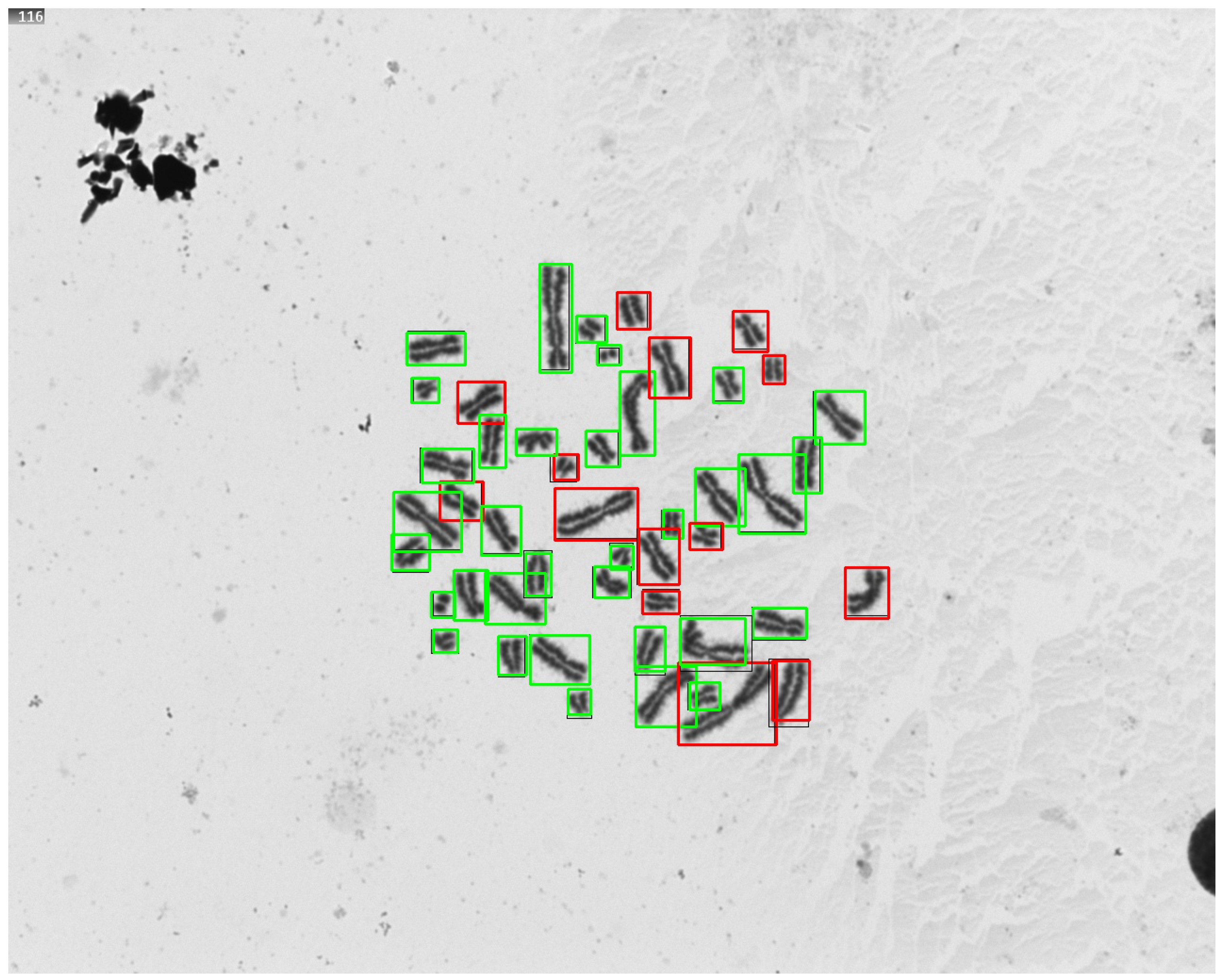 Applsci 14 10440 g007