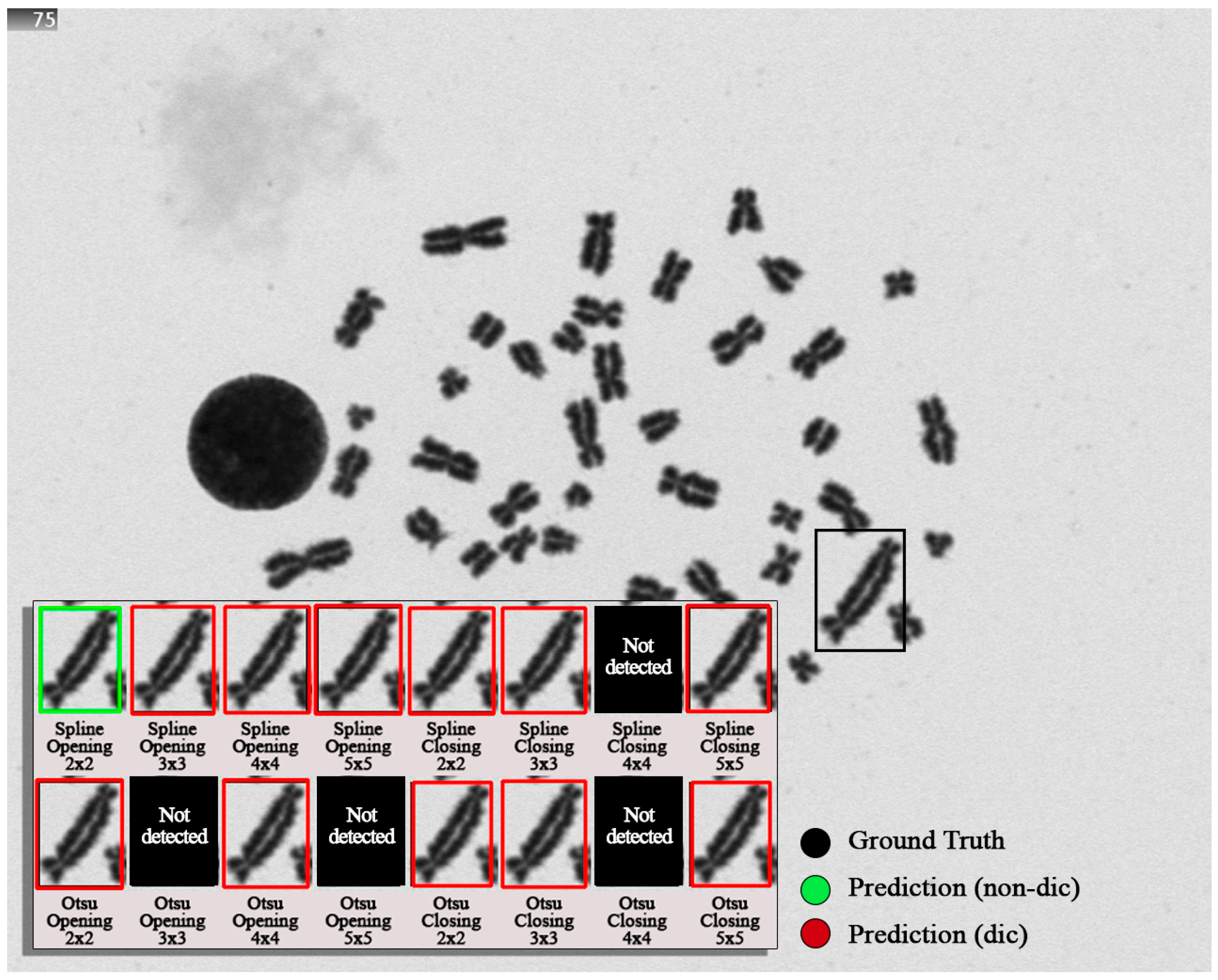 Applsci 14 10440 g008