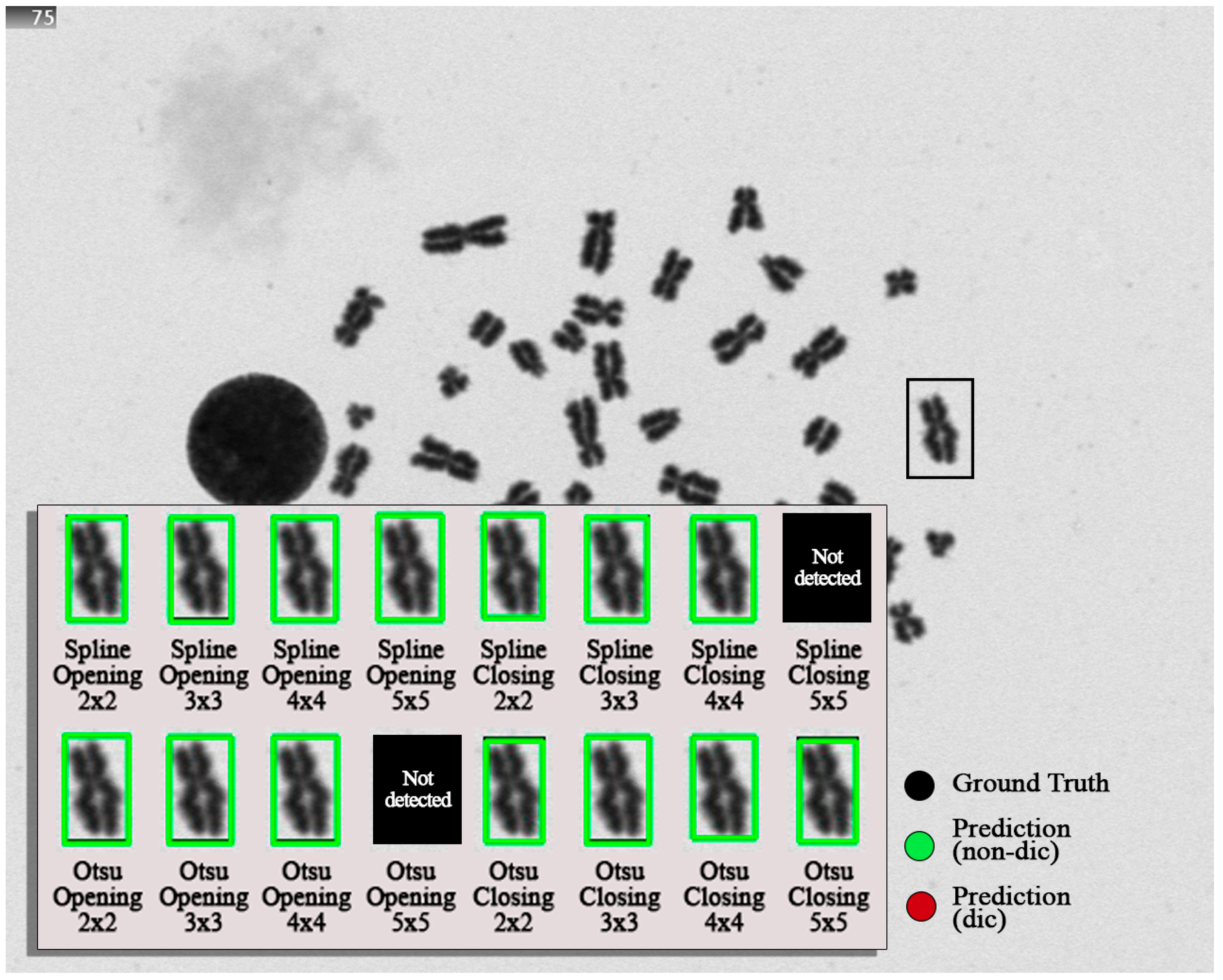 Applsci 14 10440 g009