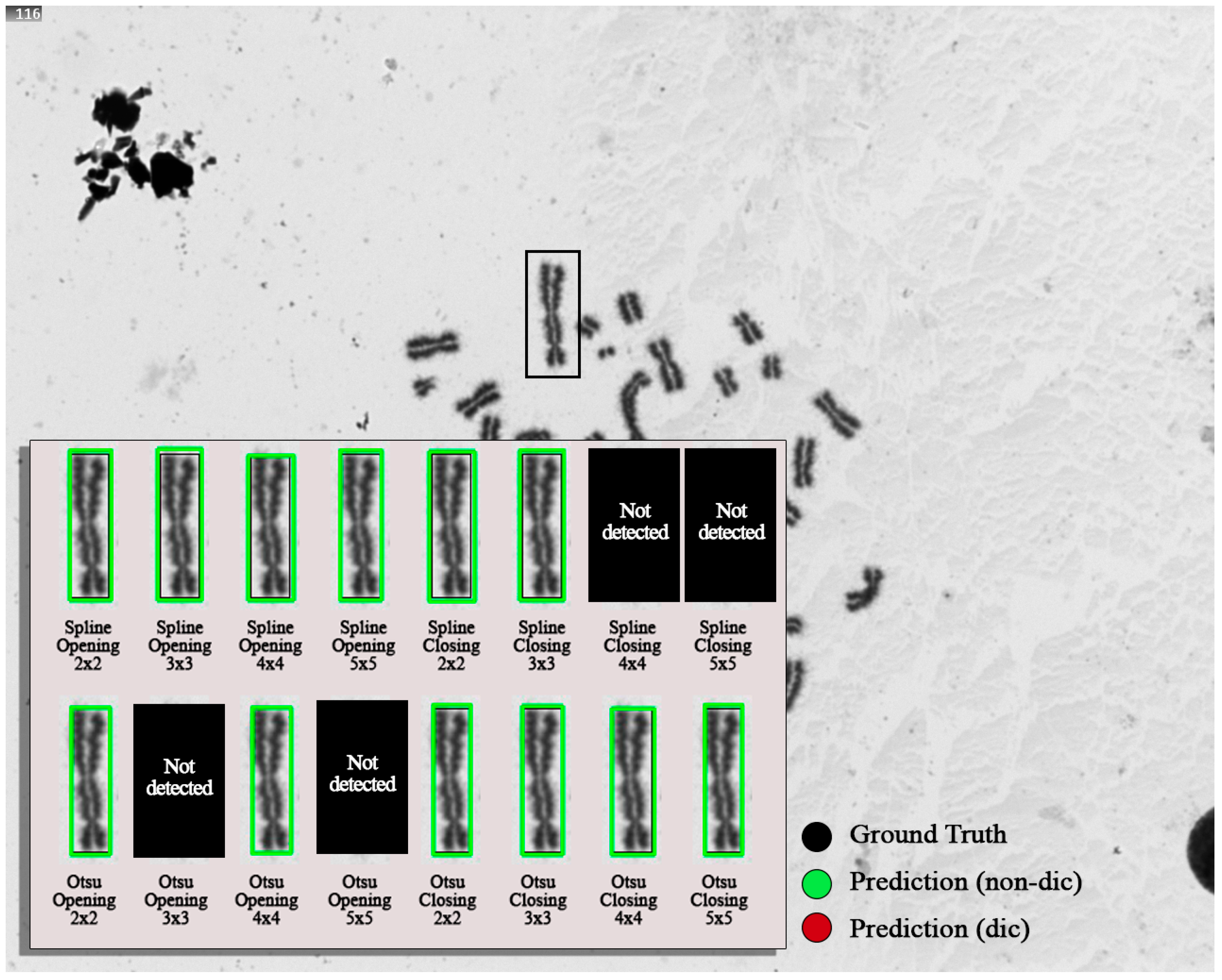 Applsci 14 10440 g012