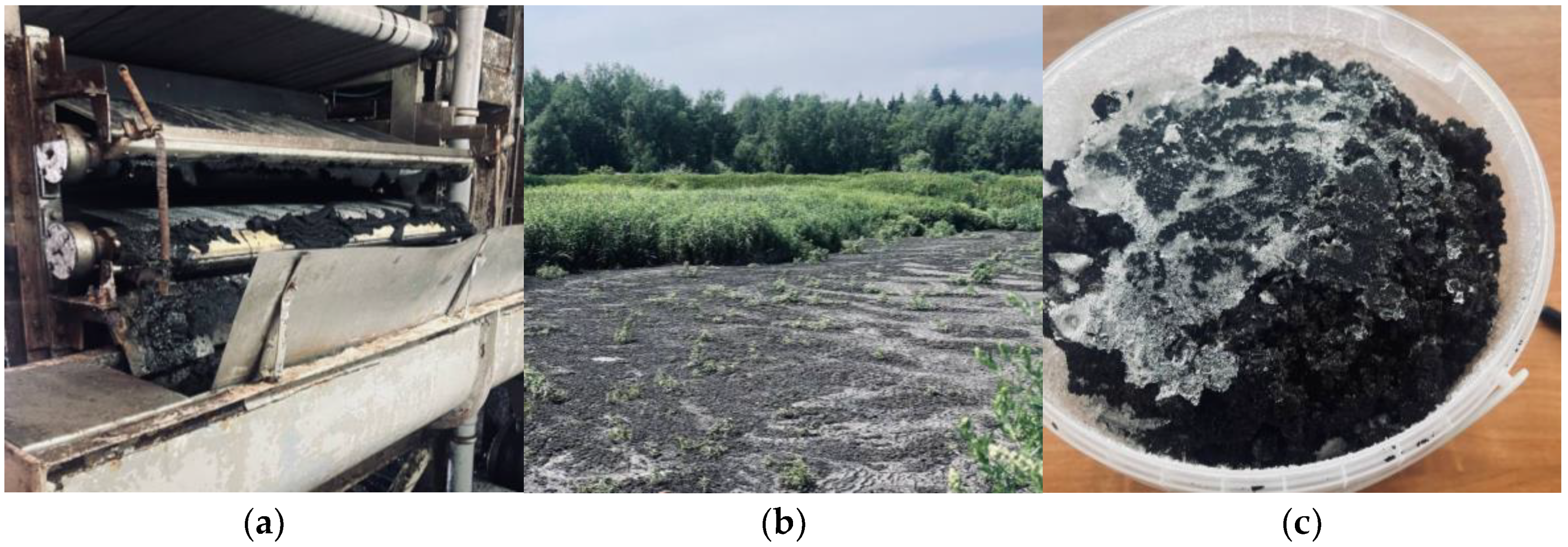 Applsci 14 10446 g002