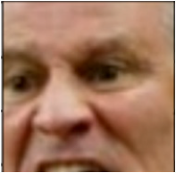 Applsci 14 10458 i002