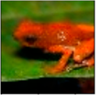 Applsci 14 10458 i018