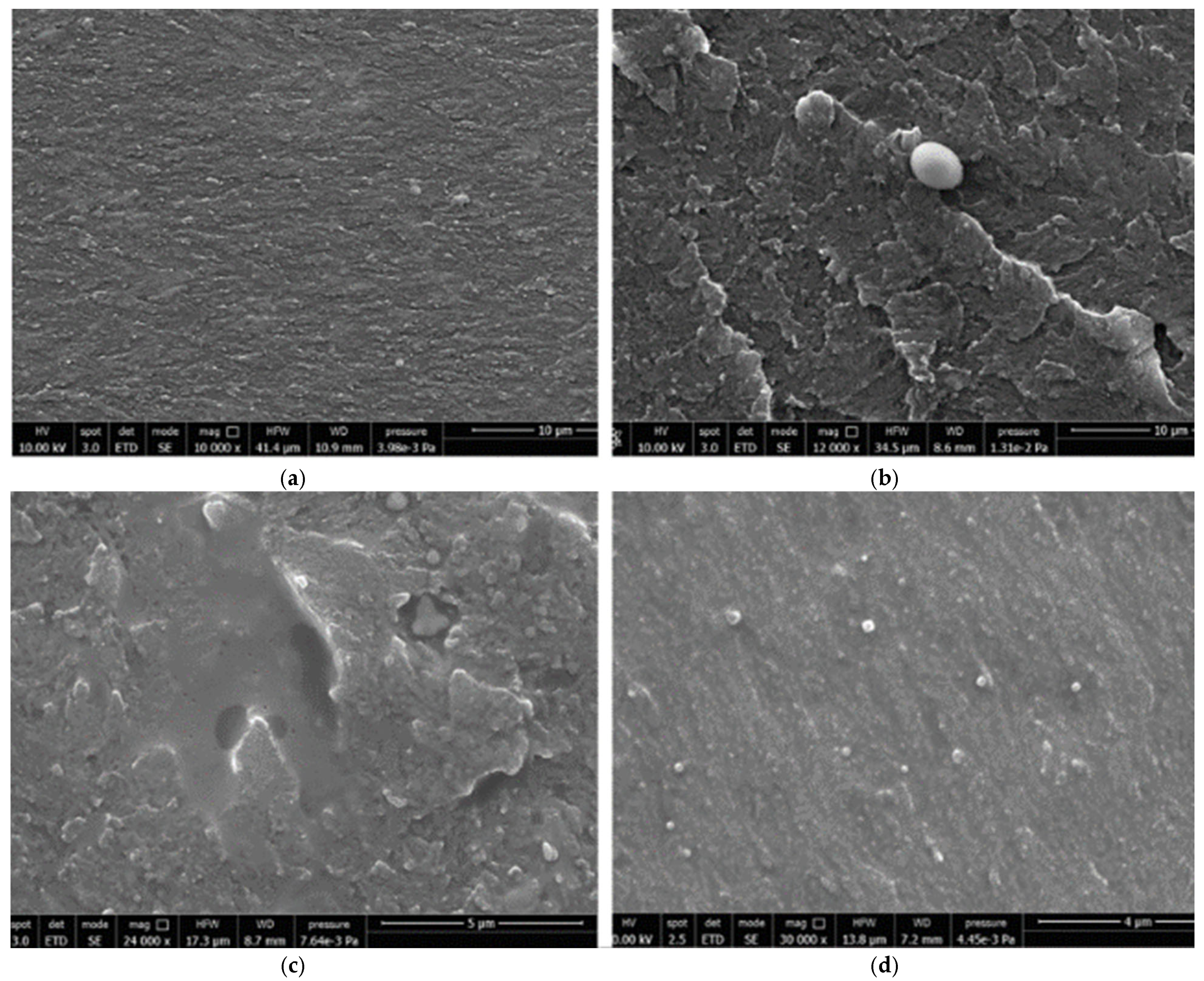 Applsci 14 10459 g004