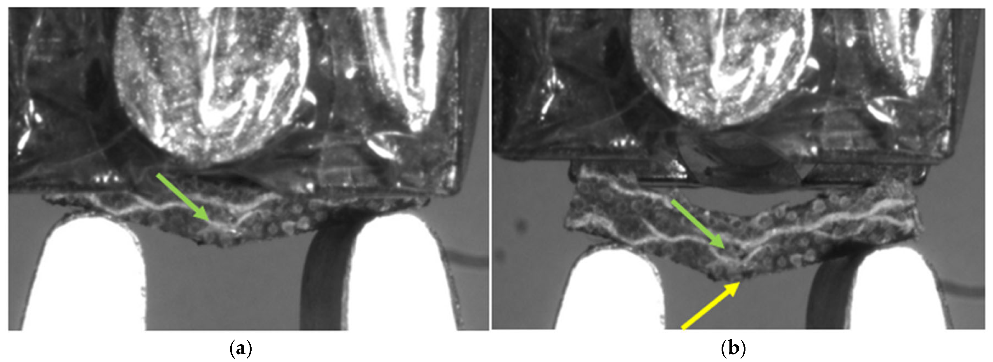 Applsci 14 10459 g008