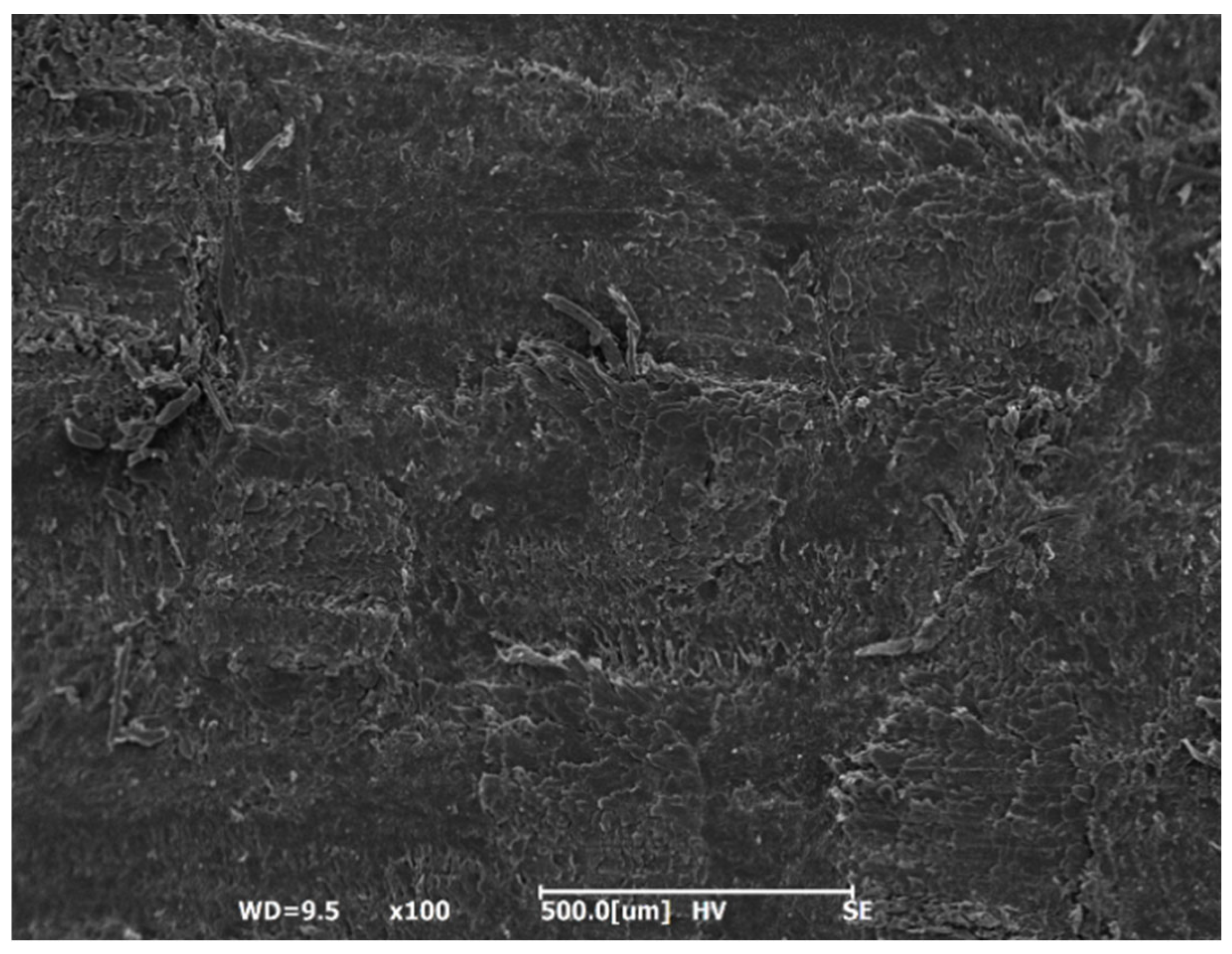 Applsci 14 10459 g009