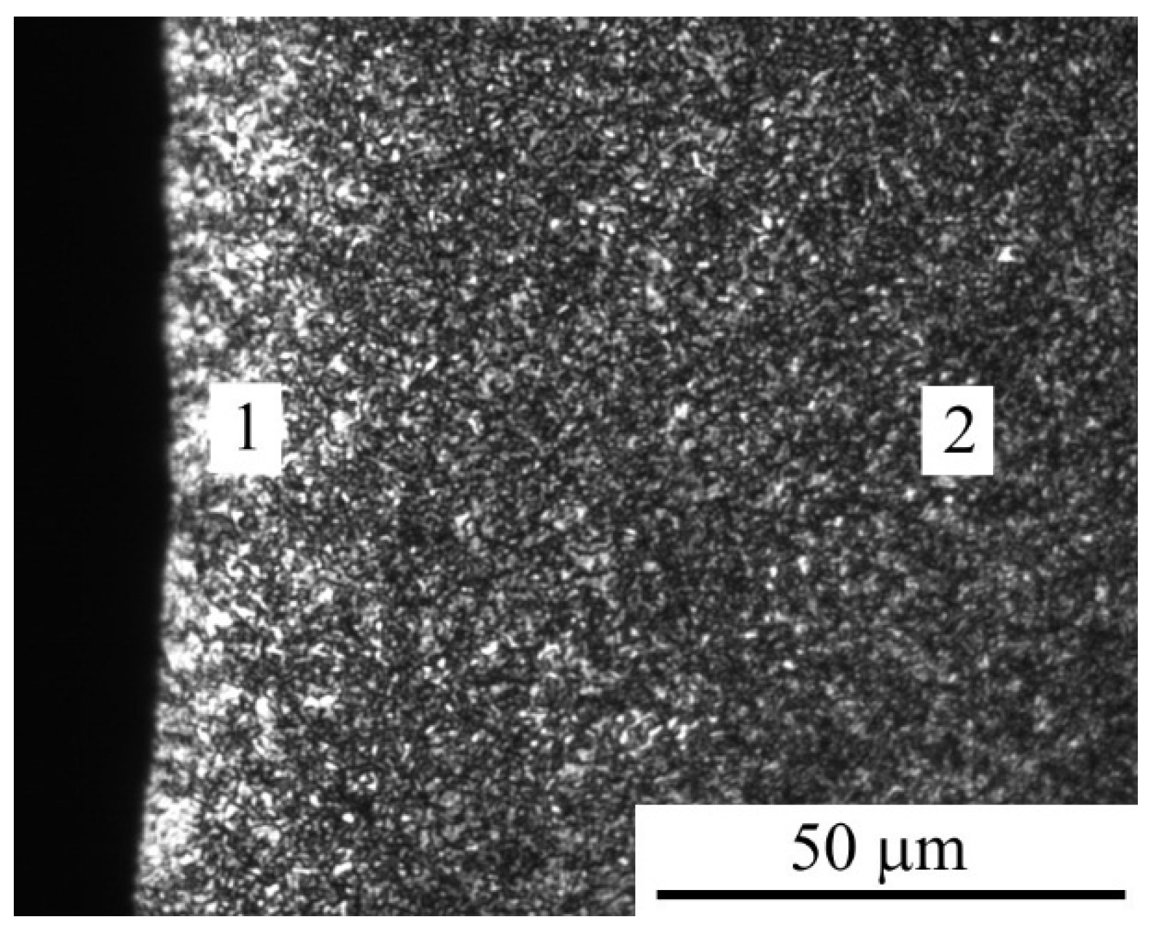 Applsci 14 10488 g007