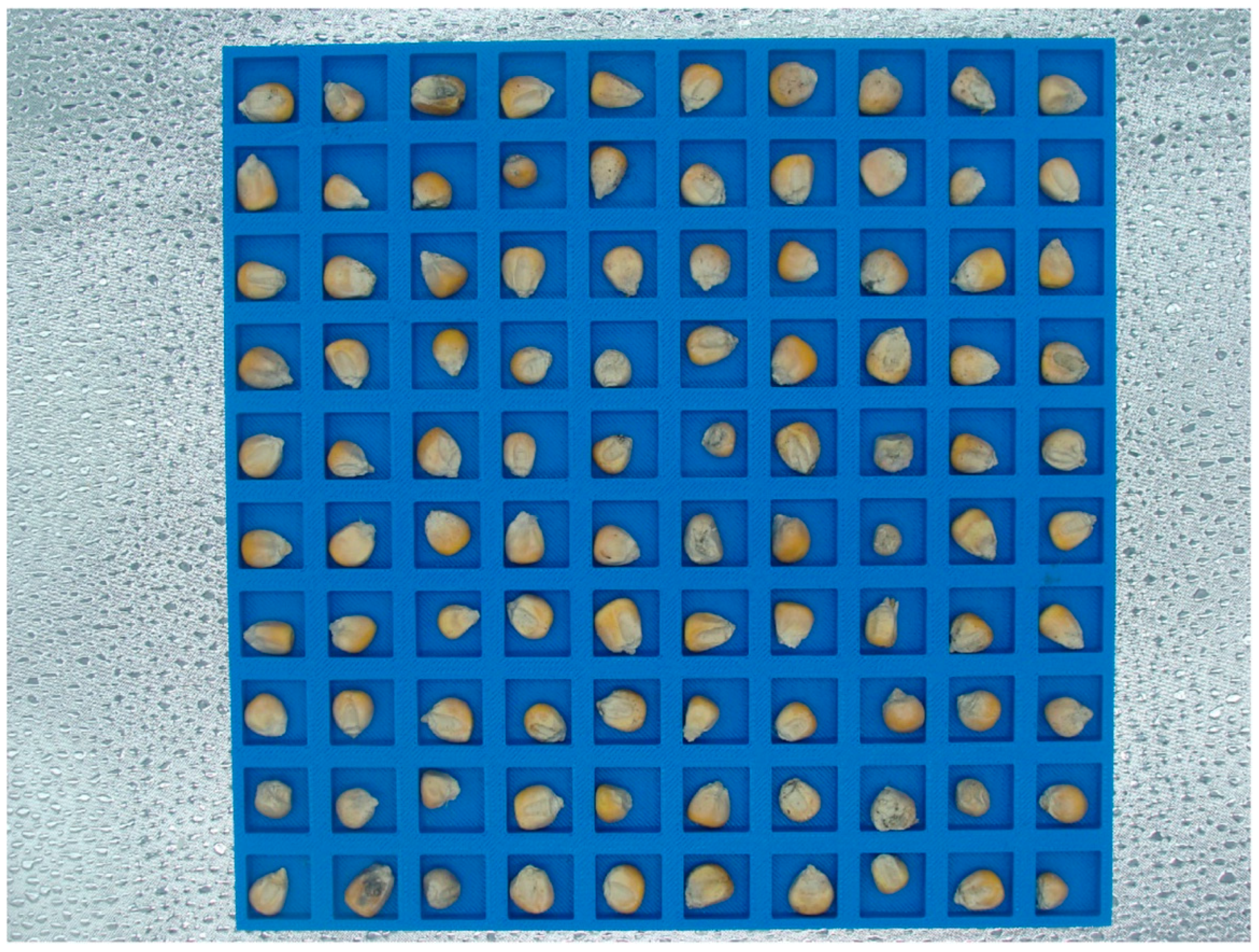 Applsci 14 10489 g003