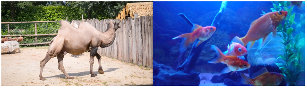 Applsci 14 10502 g009