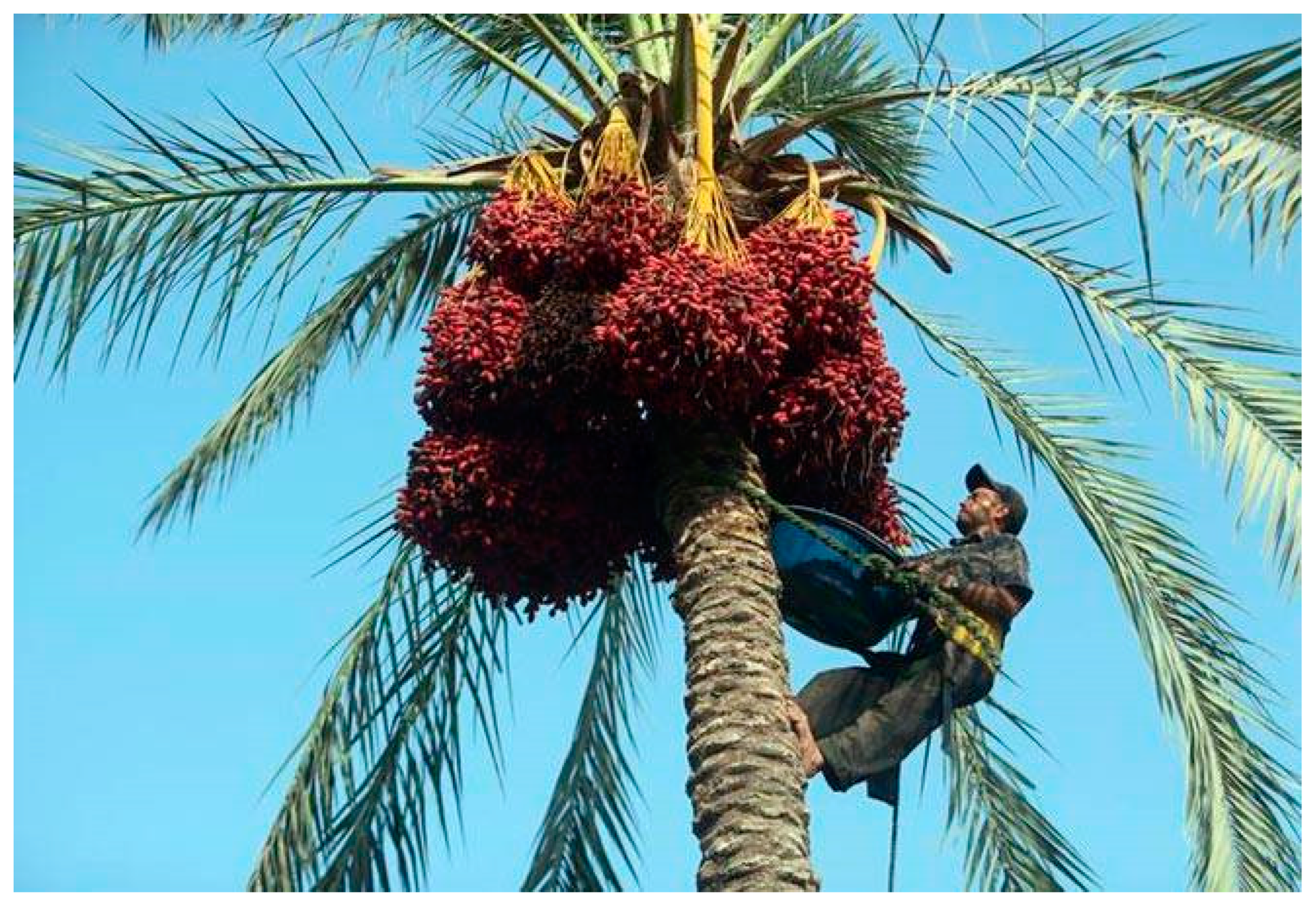 Applsci 14 10529 g001