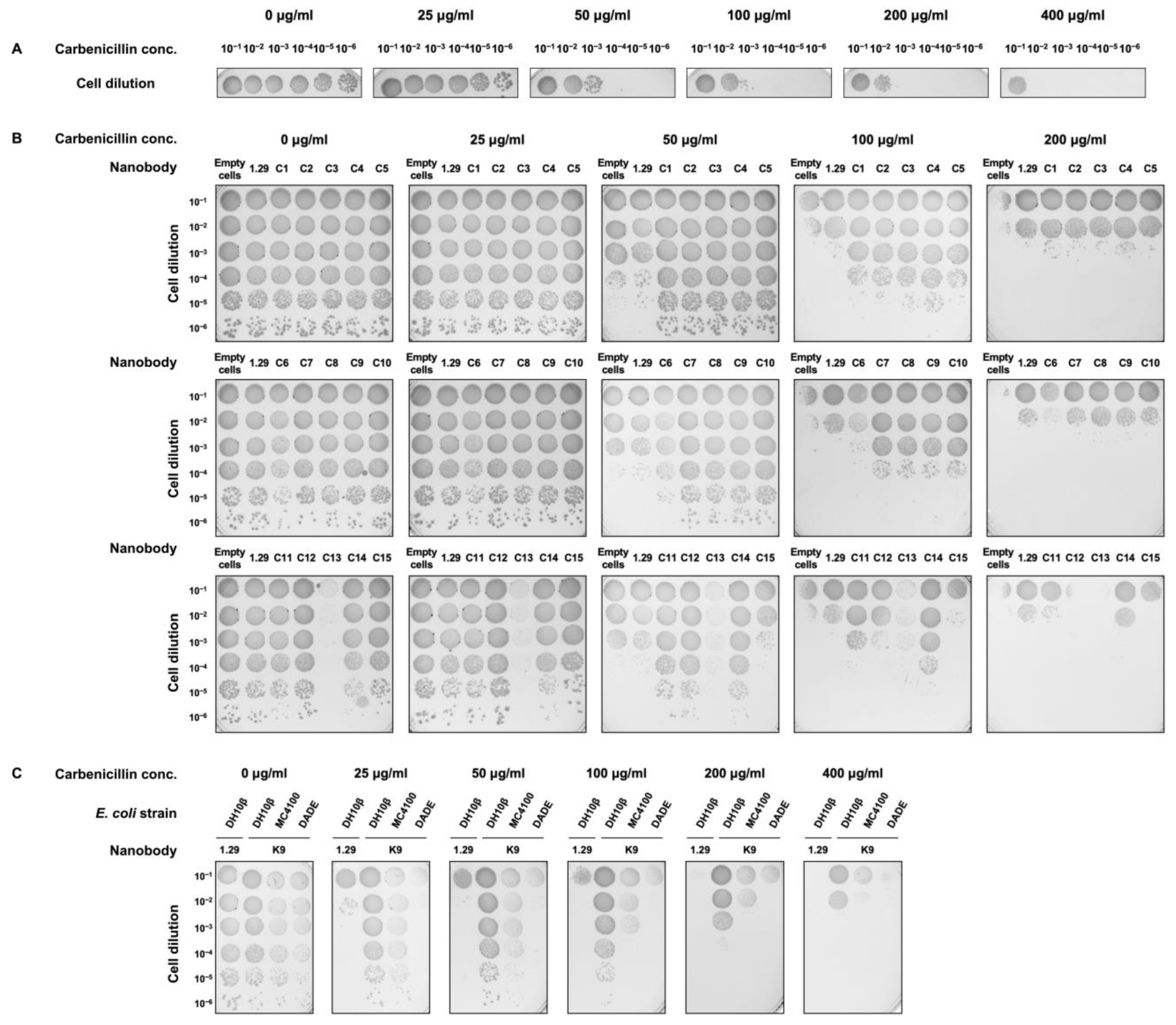 Applsci 14 10548 g002