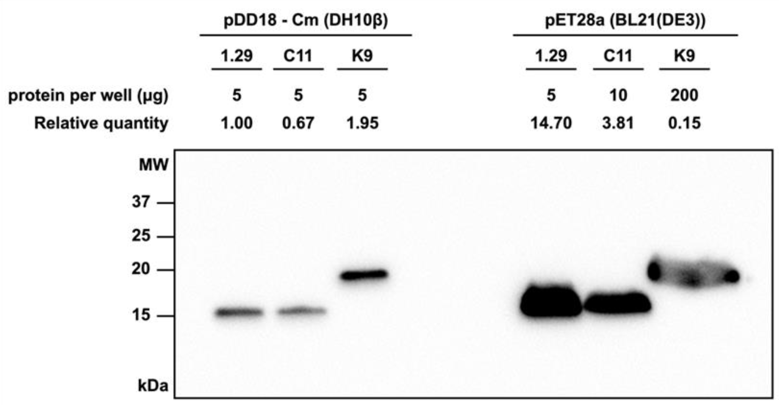 Applsci 14 10548 g003