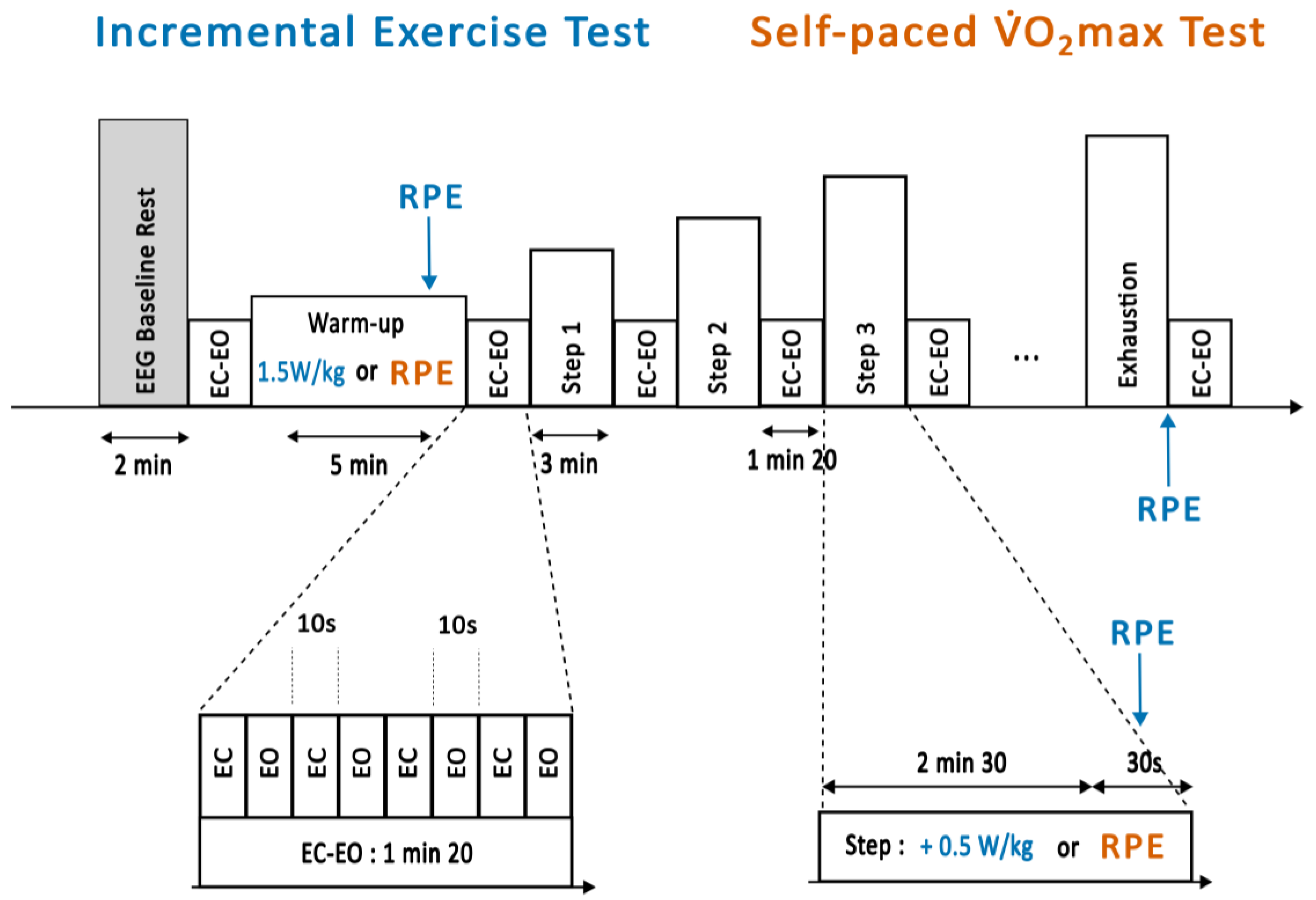 Applsci 14 10551 g001