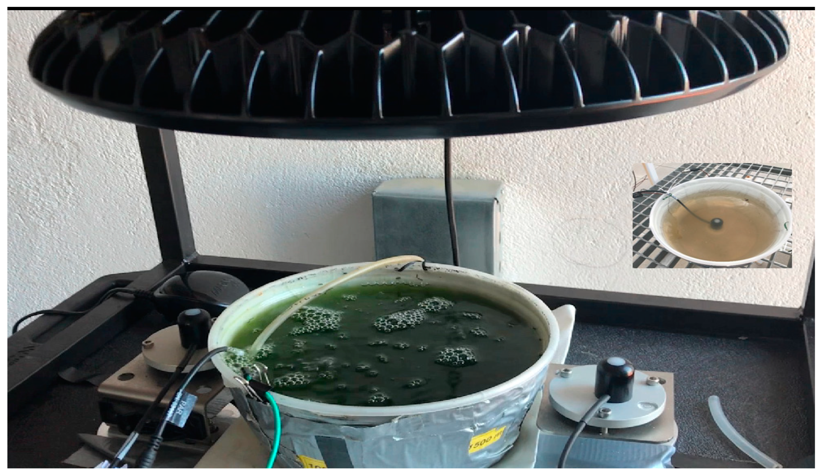 Applsci 14 10580 g001