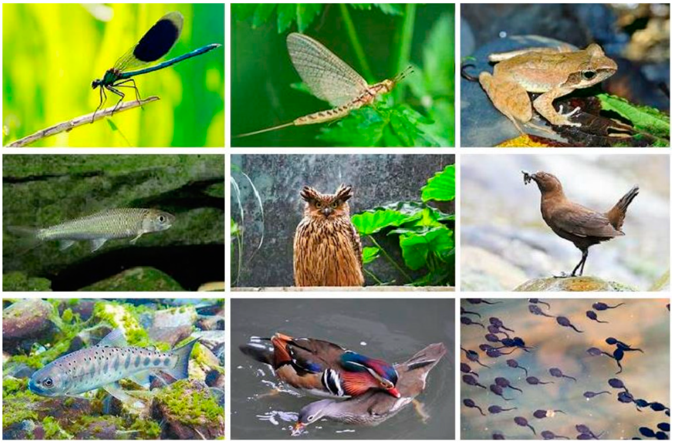 Applsci 14 10582 g002