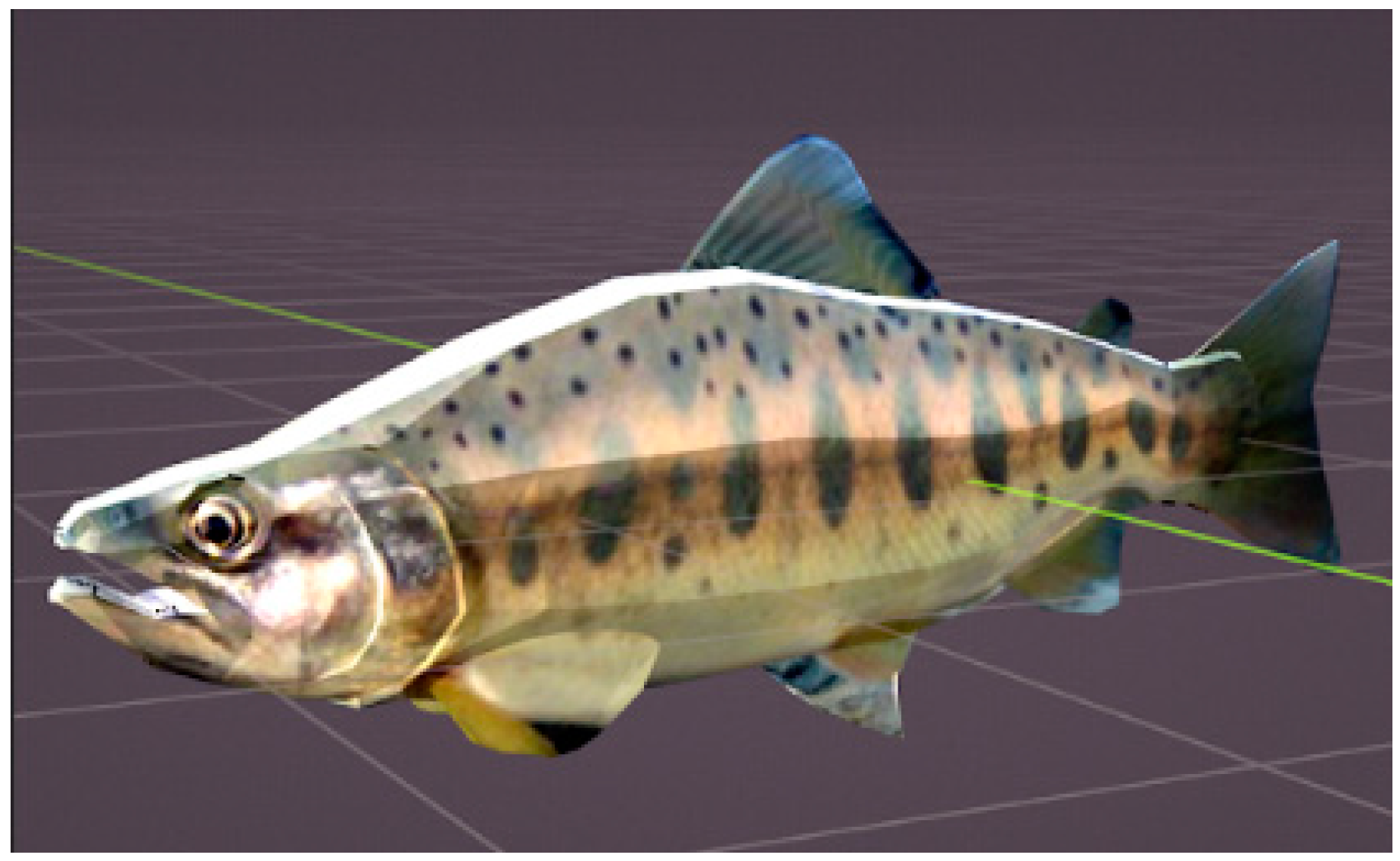 Applsci 14 10582 g005