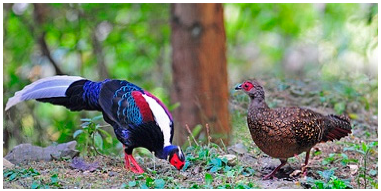 Applsci 14 10582 i002