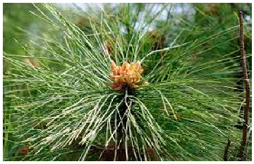 Applsci 14 10582 i004