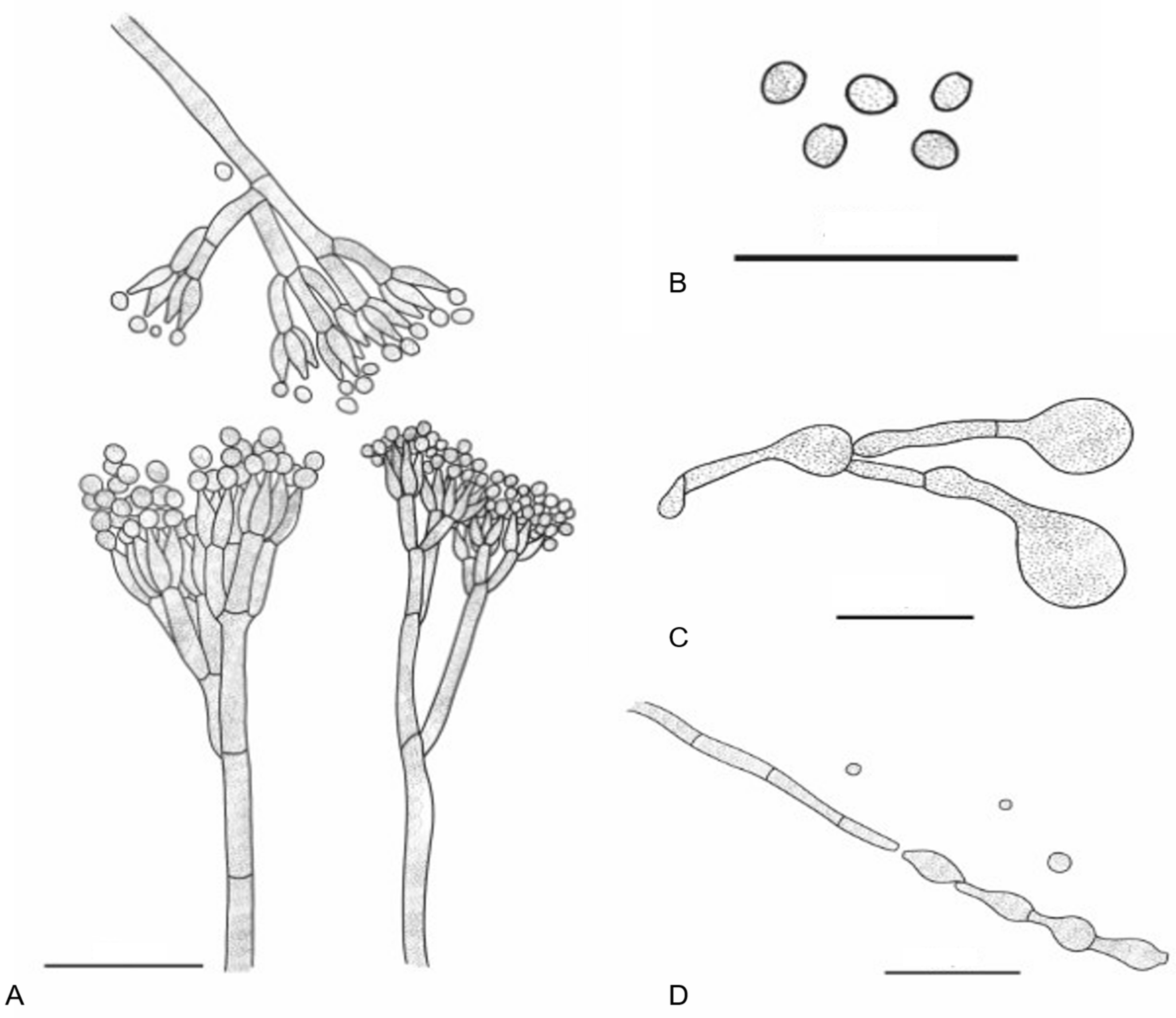 Applsci 14 10600 g003
