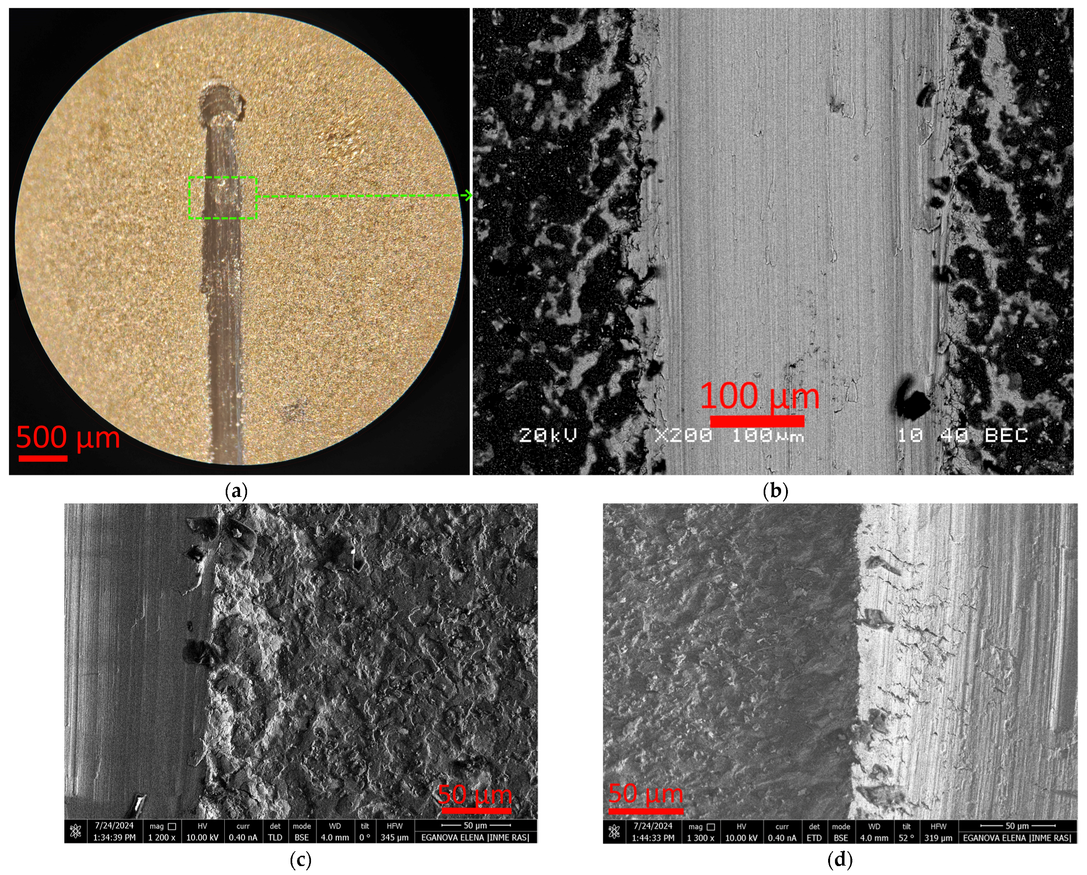 Applsci 14 10634 g004